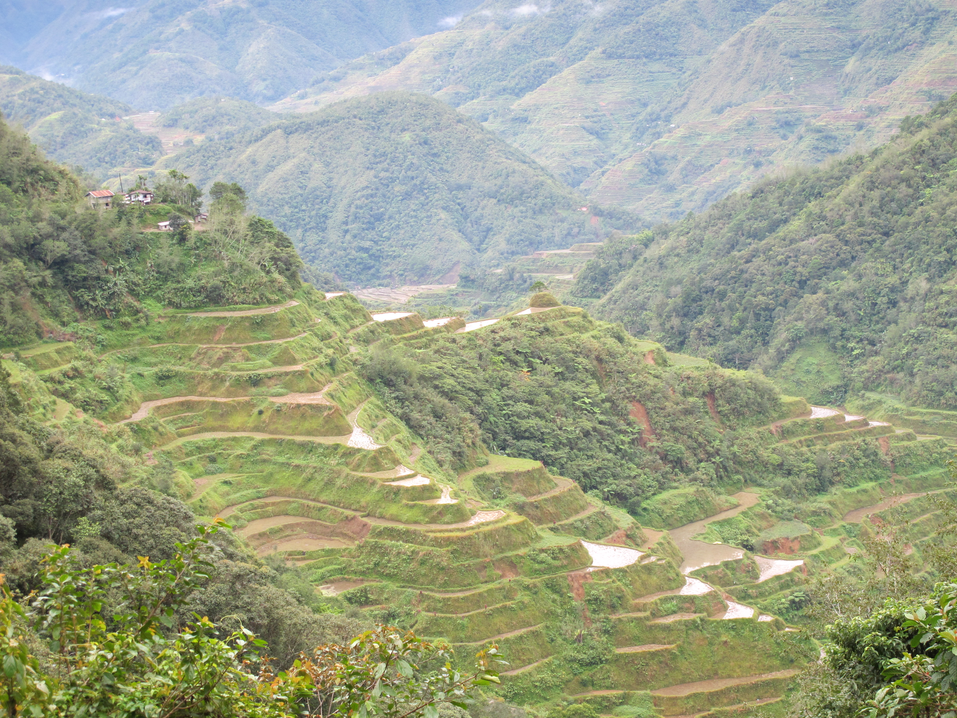Old Kiyyangan Village