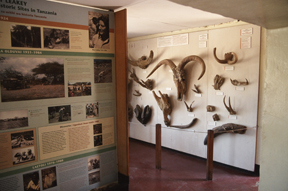 Olduvai Gorge Museum
