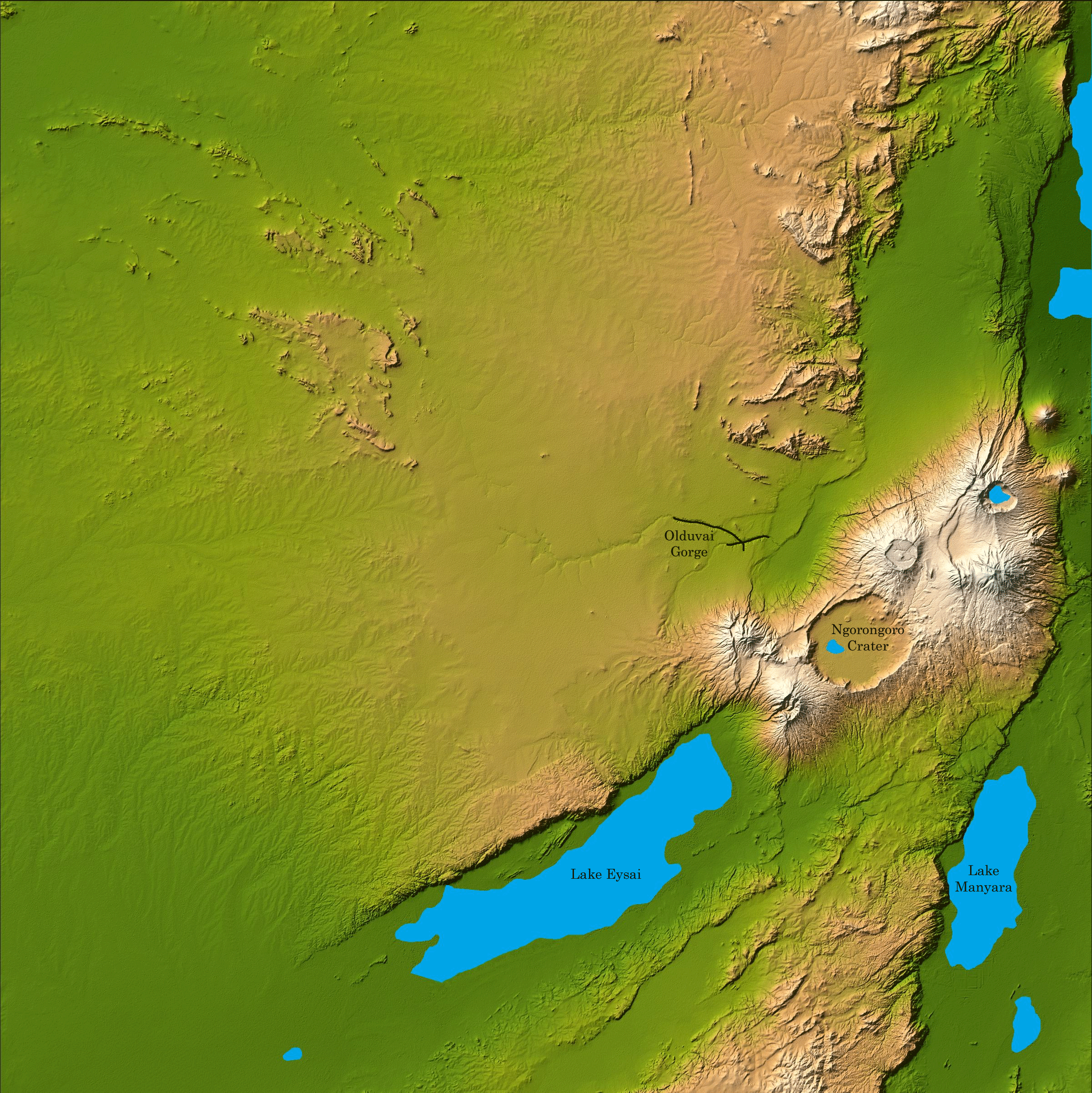 FileOlduvaiGorge-1.gif