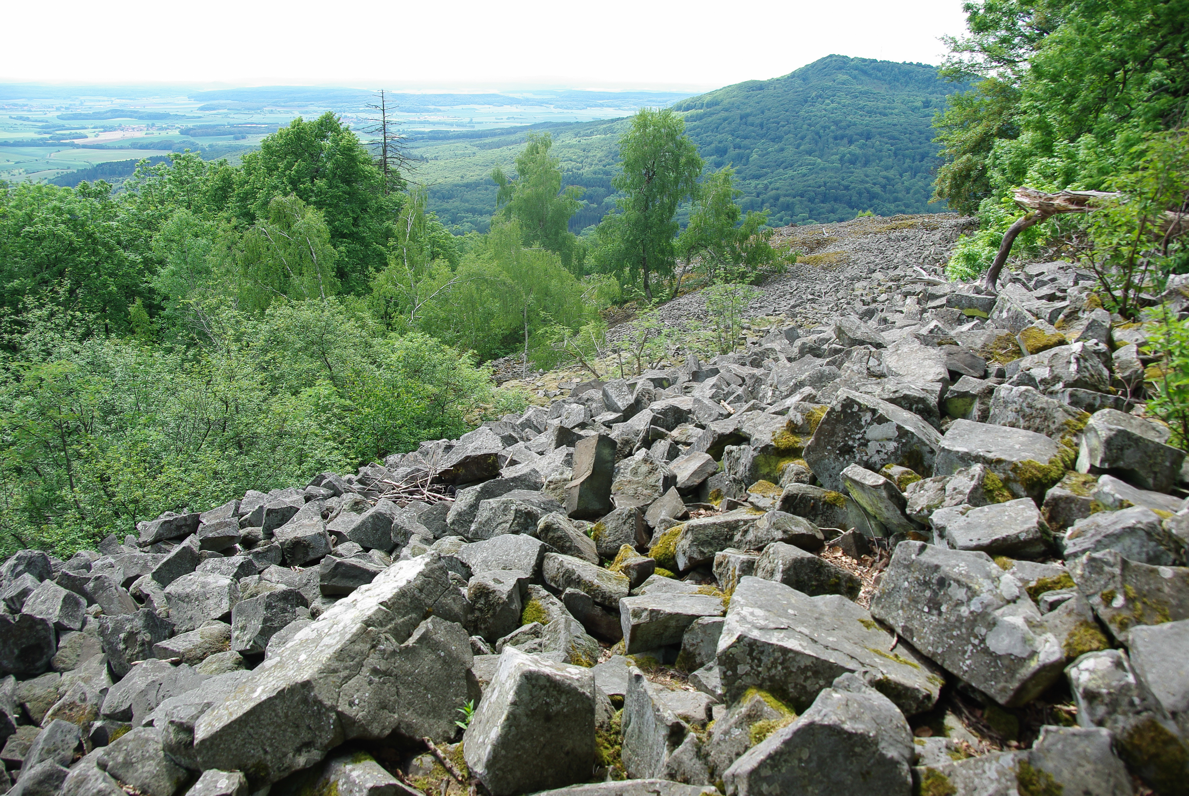 FileKleiner_Gleichberg_Hildburghausen_Basaltfelder_1_von_4.jpg