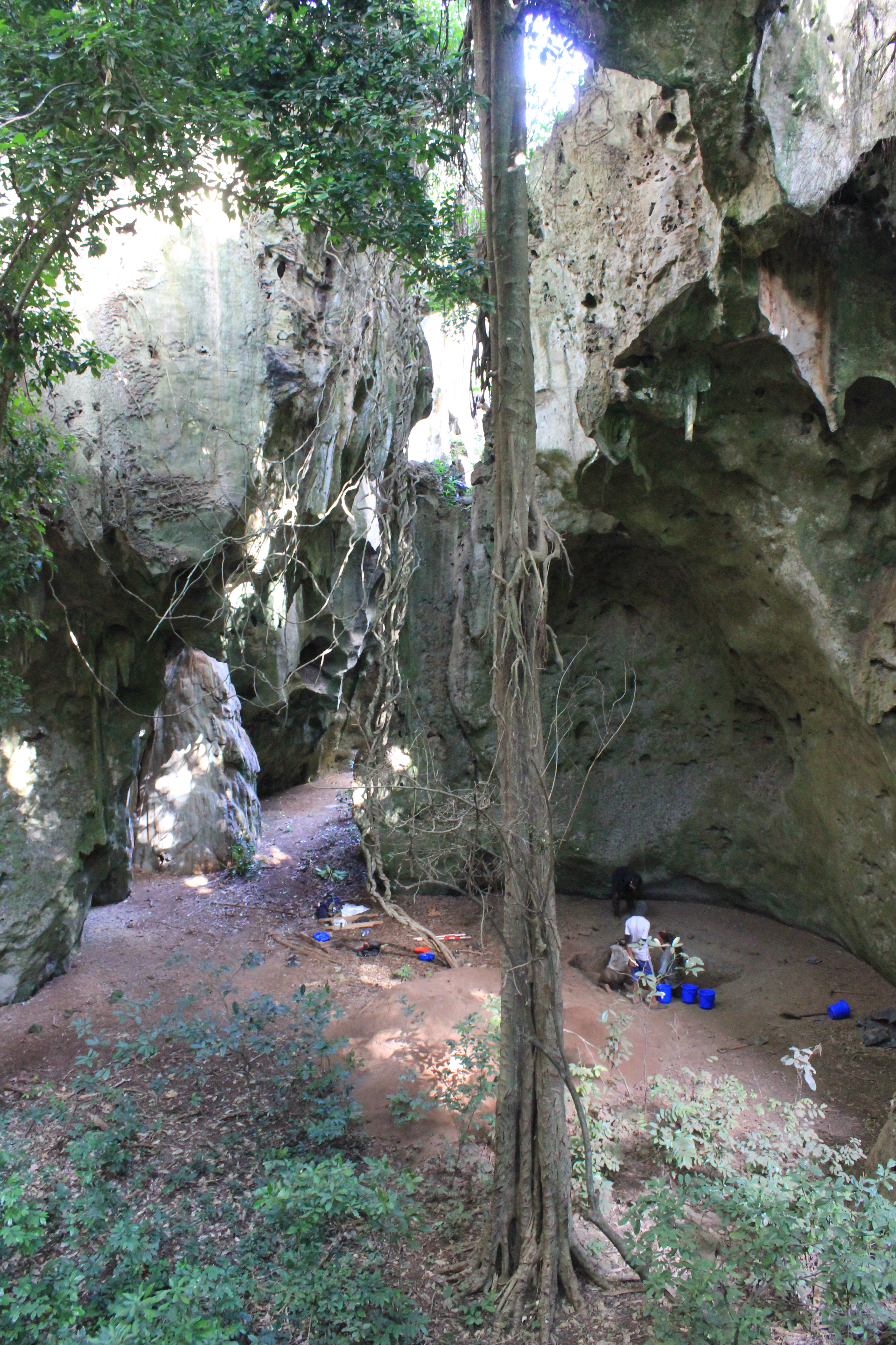 FilePanga_ya_Saidi_archaeological_site.jpg