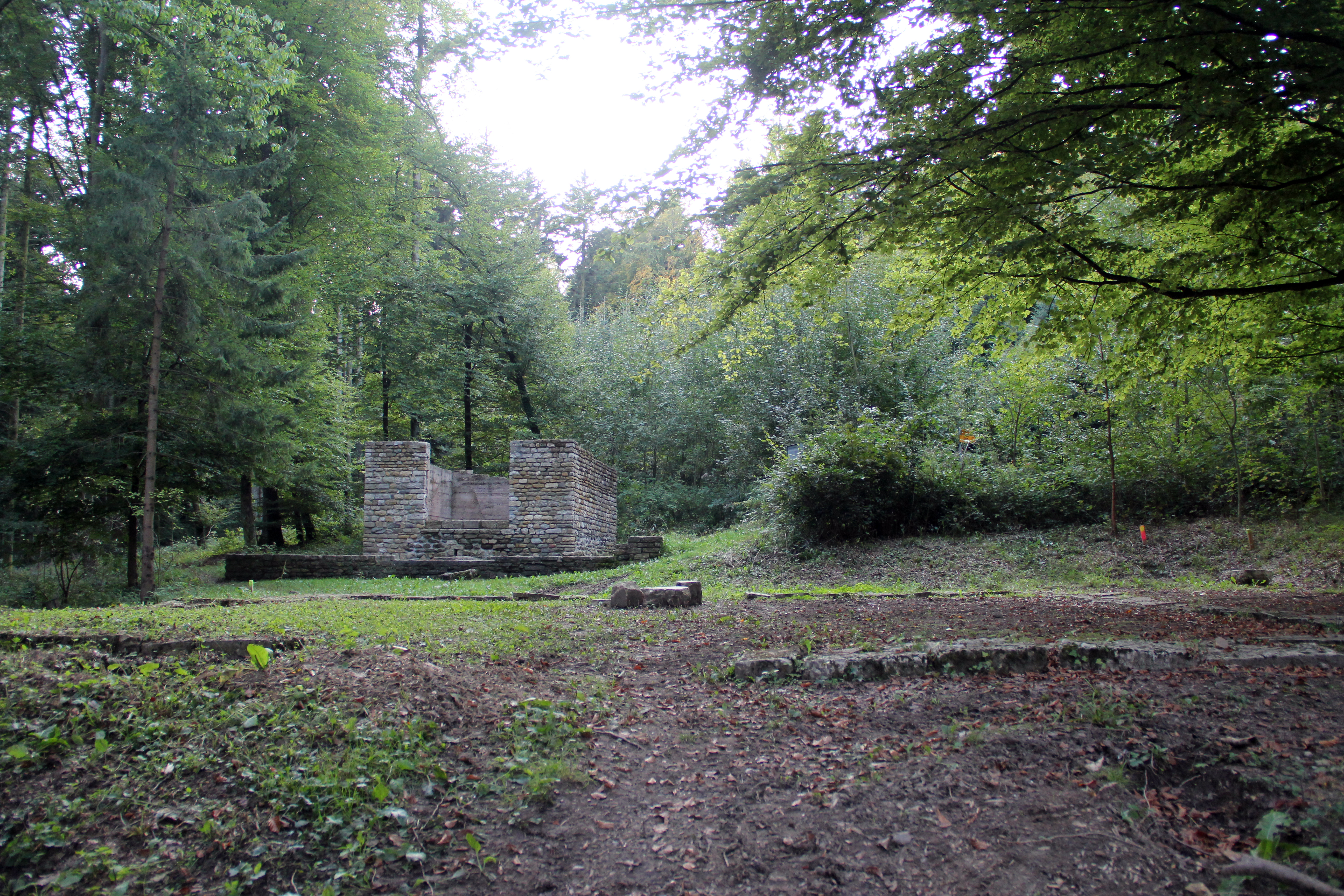 Petinesca