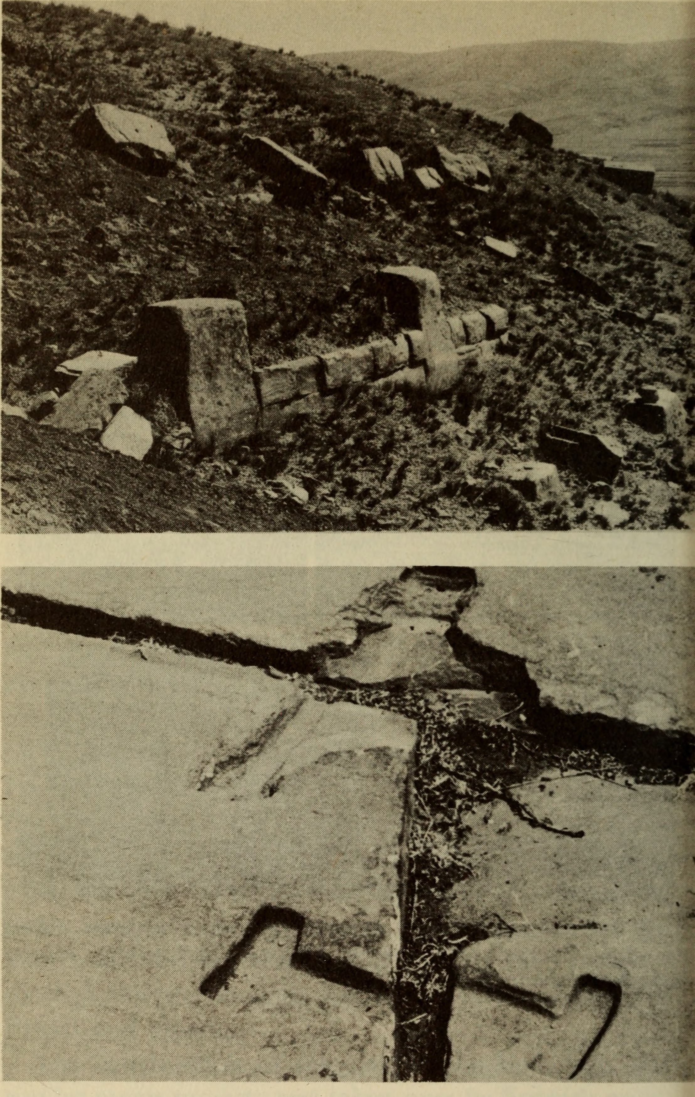 FileAndean_culture_history_1964_18007646698.jpg