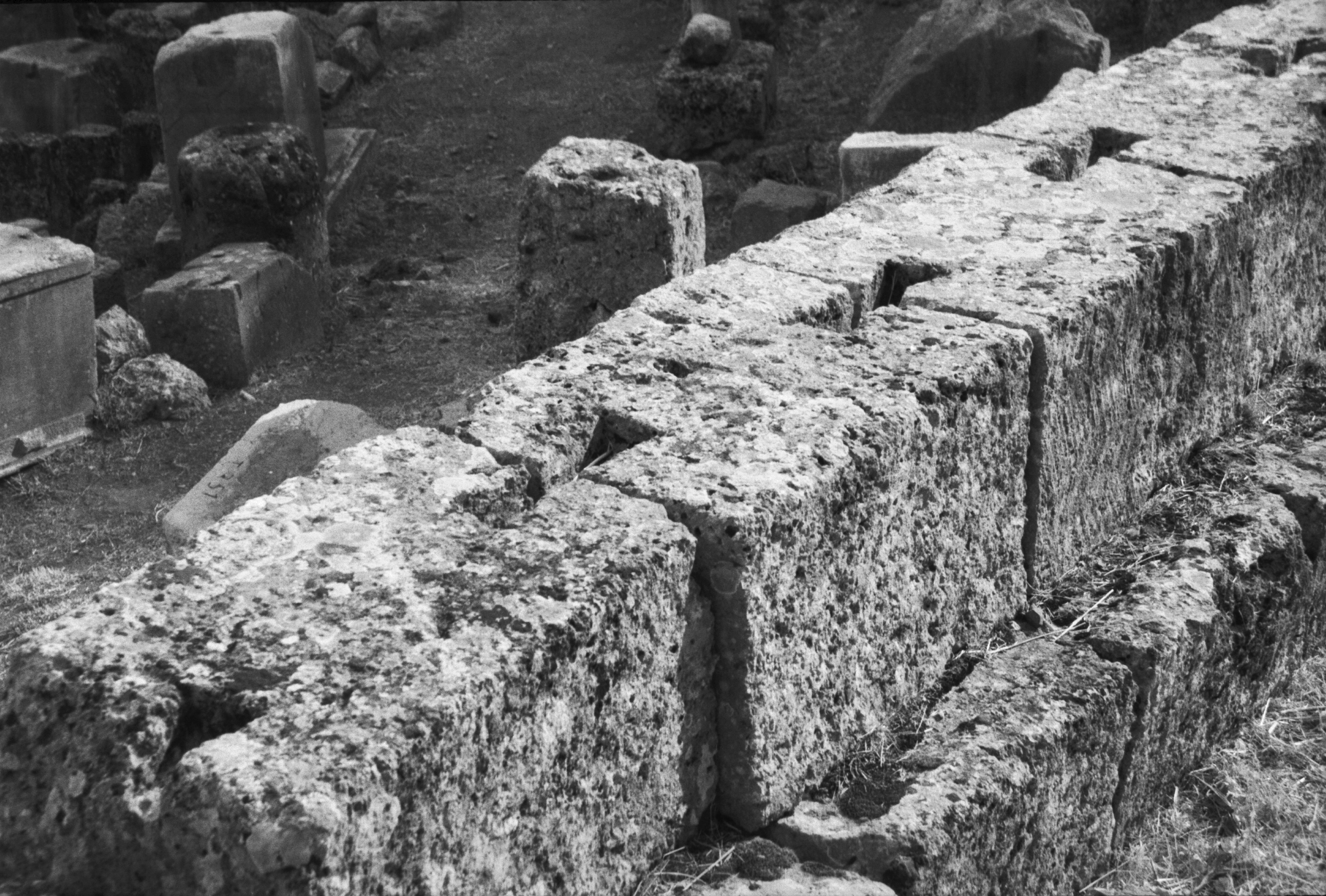 FileIn_the_Archaeological_site_of_Delphi_Dlfi311.jpg