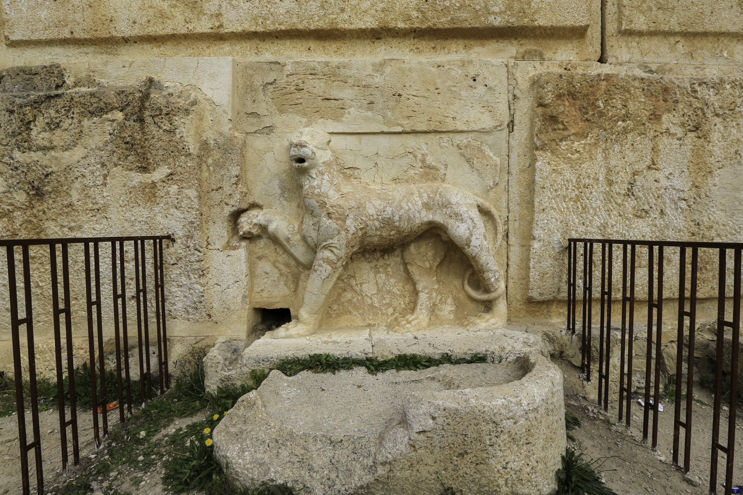 FileIraq_al-Amir_Lion.jpg