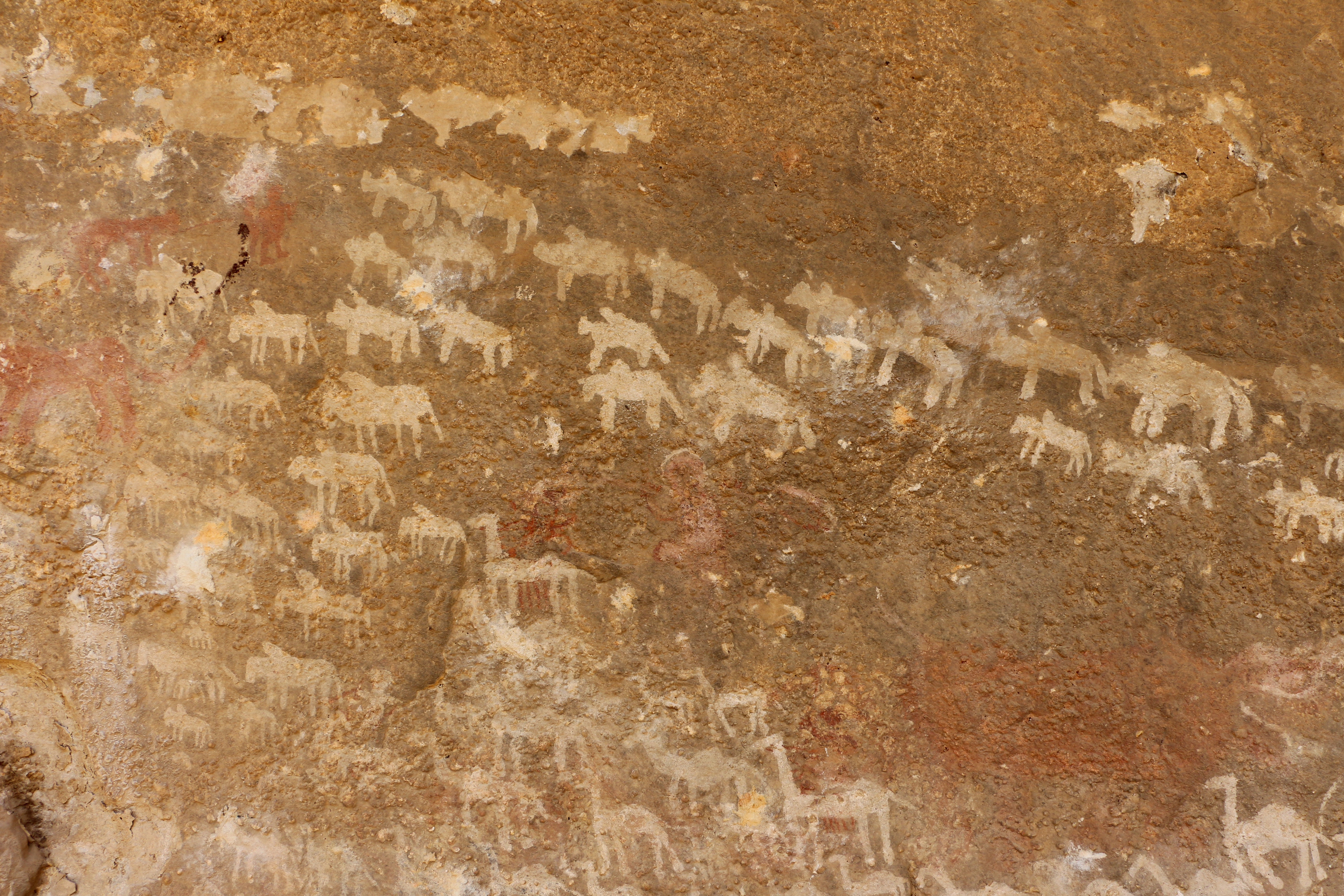 FileKohaito_grotta_di_adi_alauti_con_pitture_rupestri_databili_al_2500_ac_ca._14_bestiame.JPG