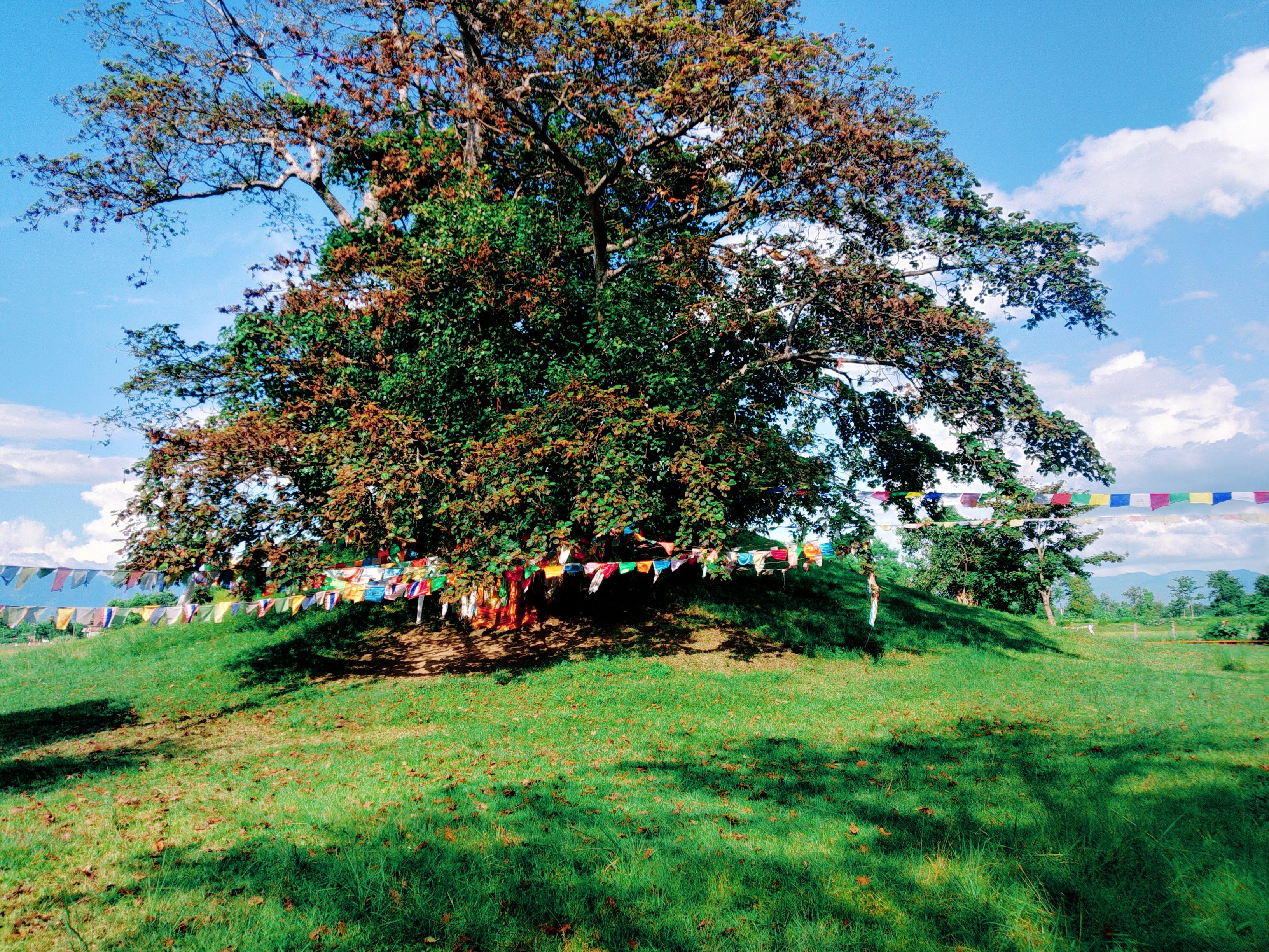 FileRamagrama_Stupa.jpg