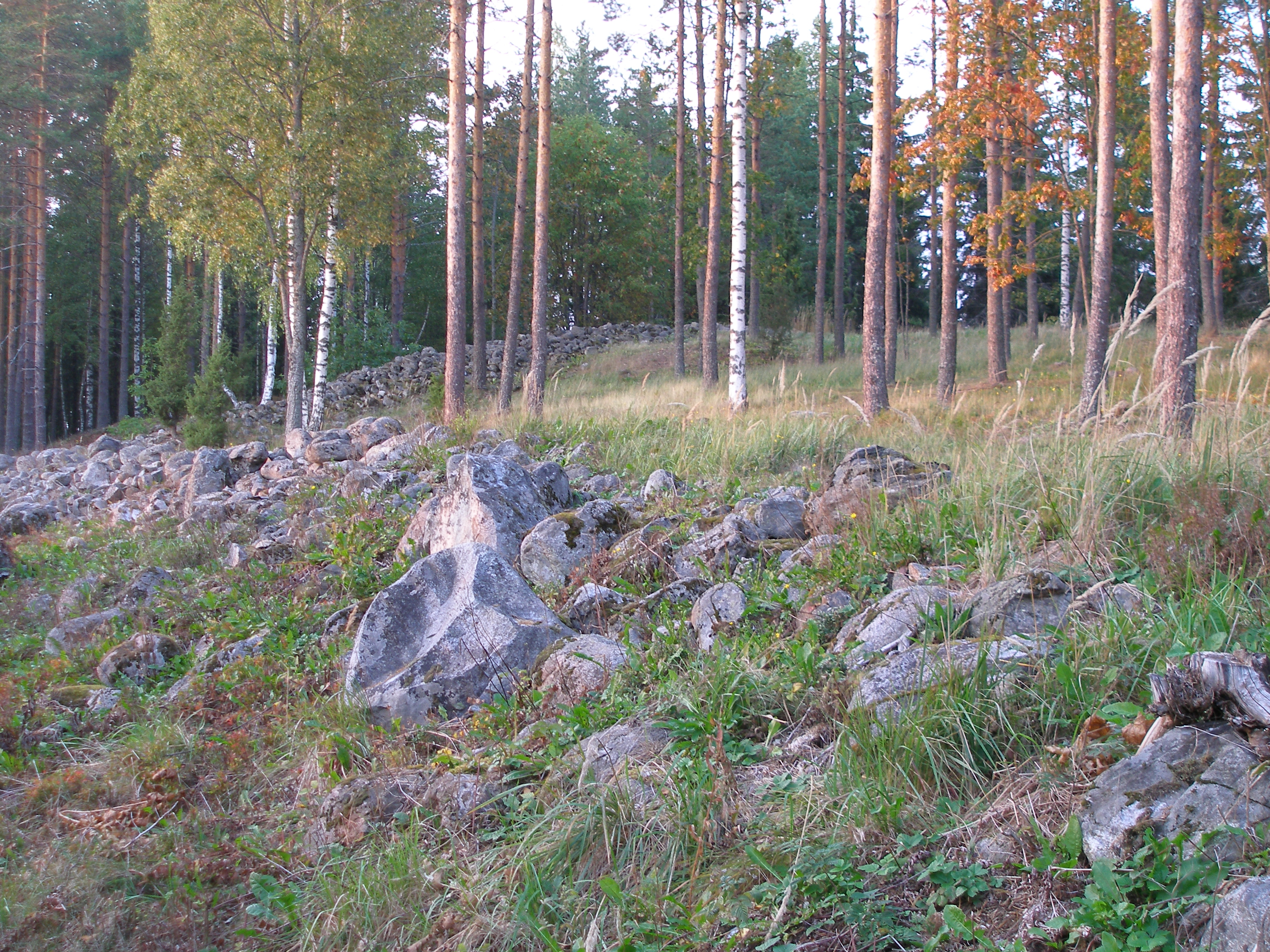 FileRapola_Castle_-_panoramio.jpg