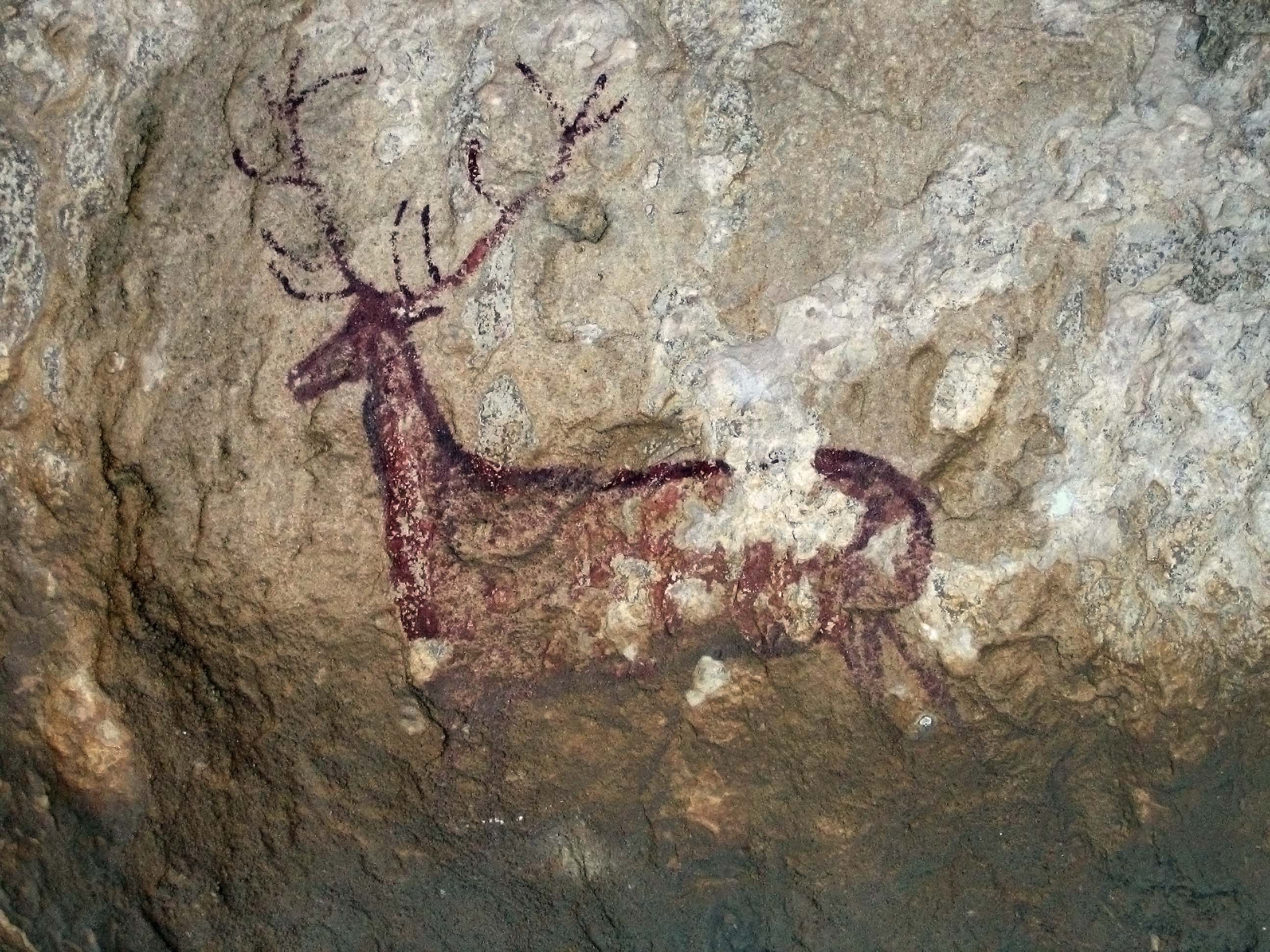FileArt_rupestre_Chimiachas.jpg