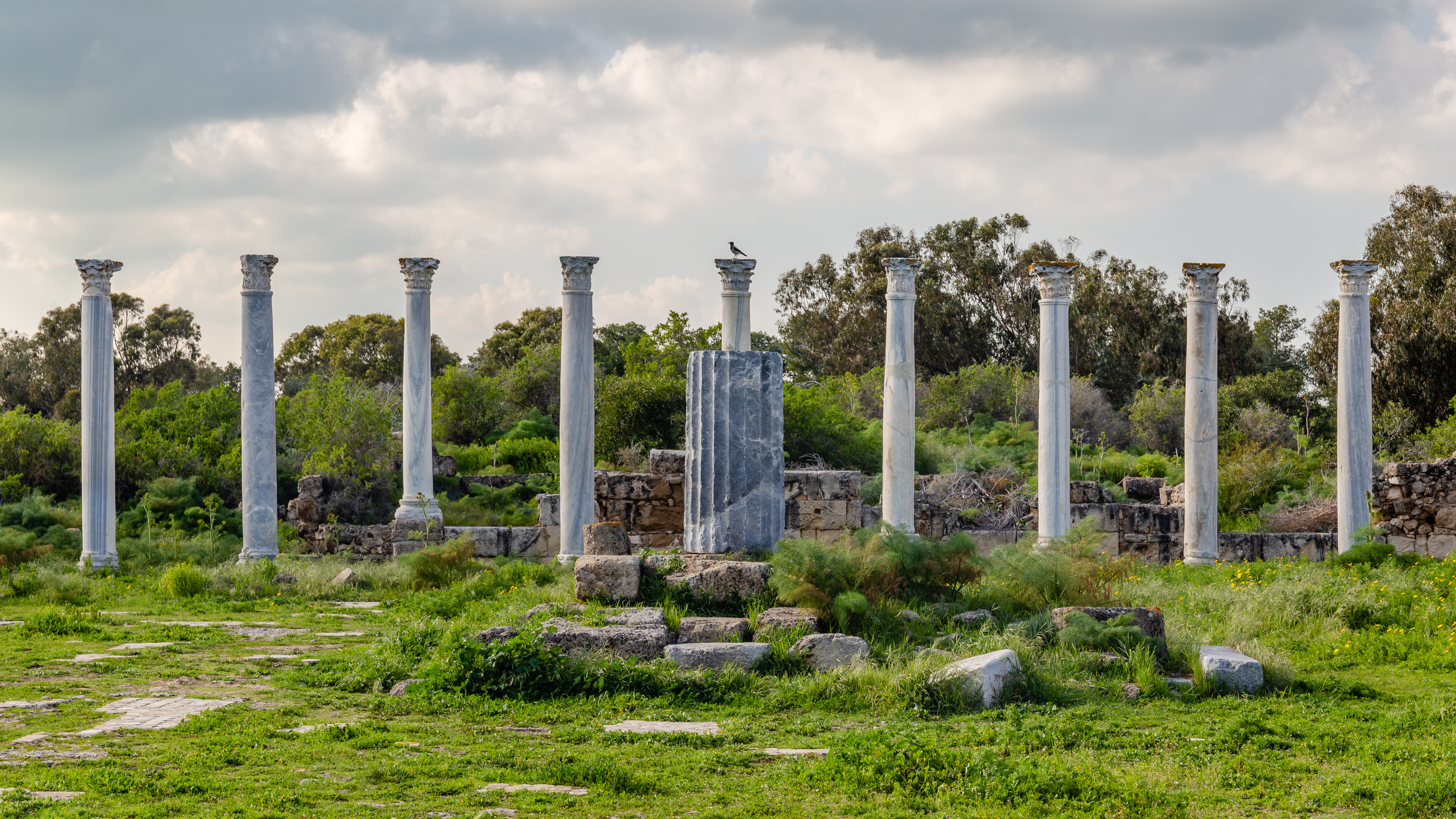 FileColumns_in_Roman_gymnasium_Salamis_Northern_Cyprus.jpg