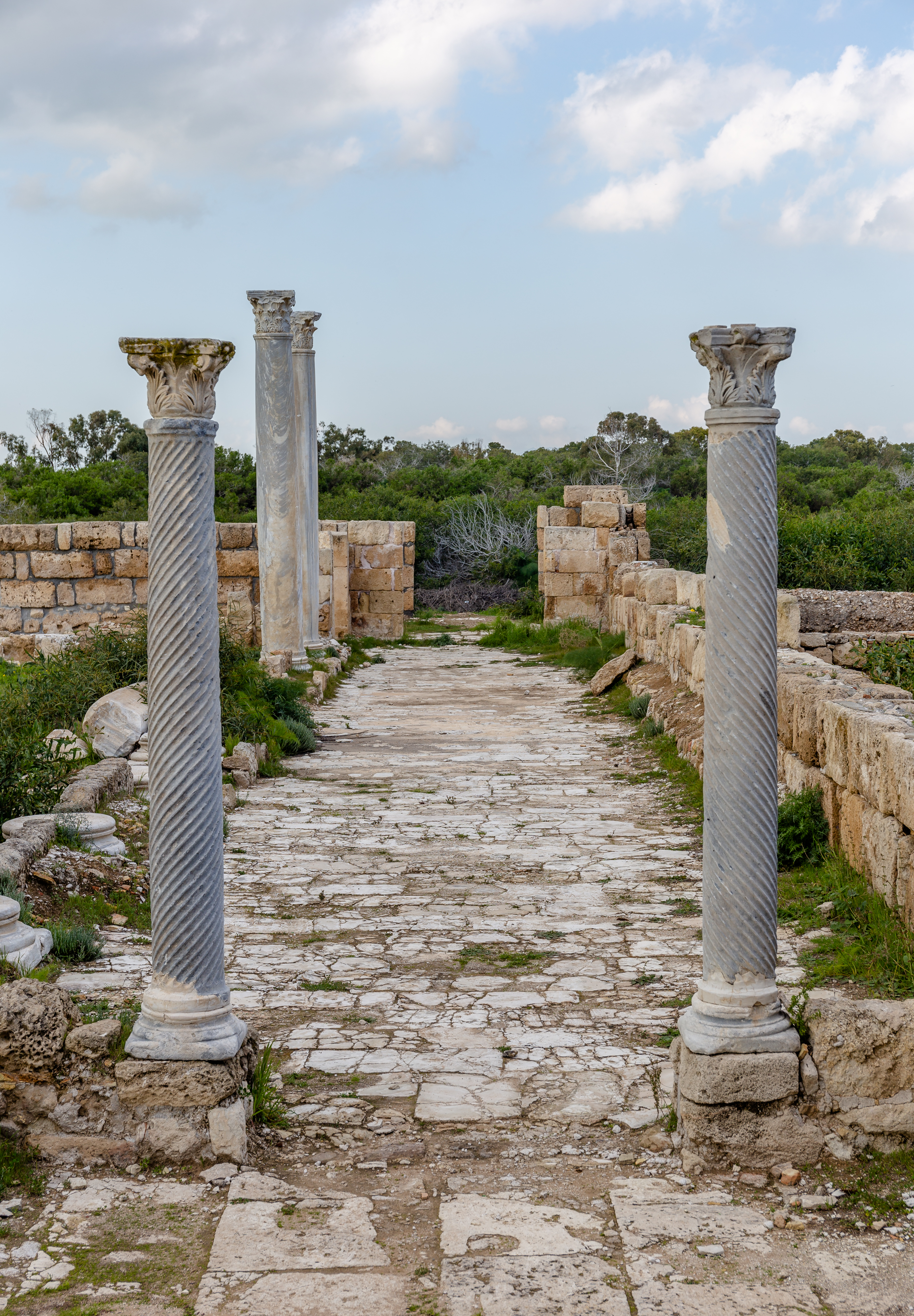 FileColumns_in_Roman_gymnasium_Salamis_Northern_Cyprus_05.jpg