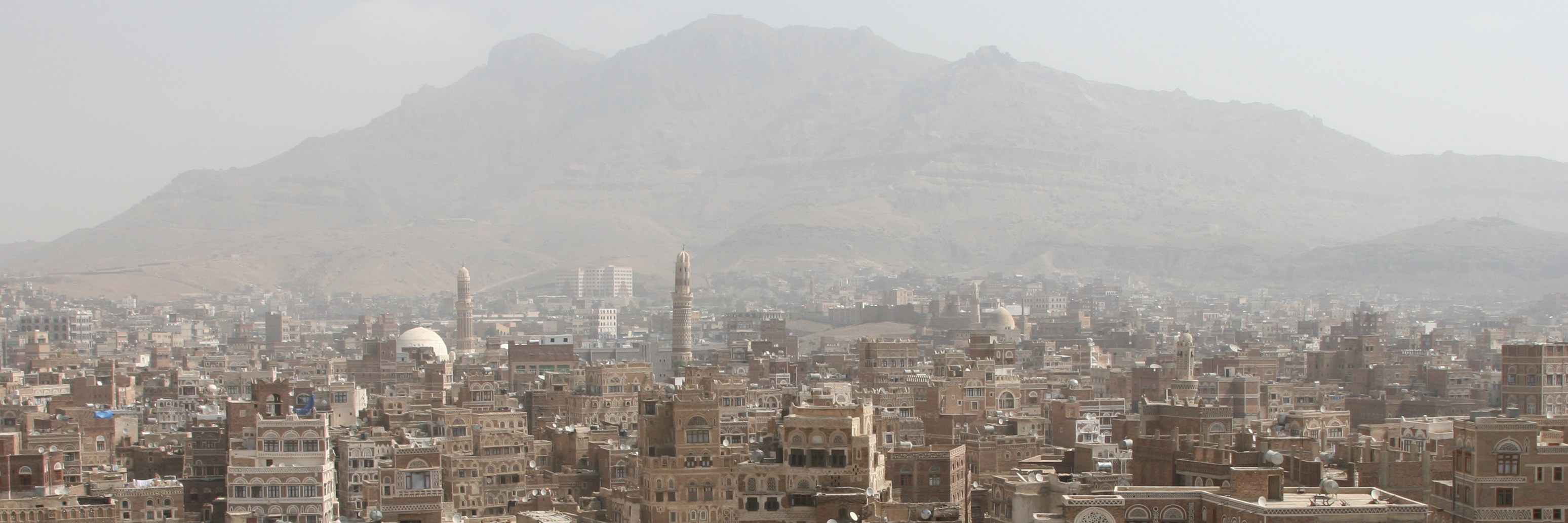 FileBanner_Sana_esVoy.jpg