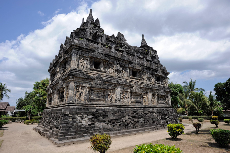 FileCandi-sari_09N7994.jpg