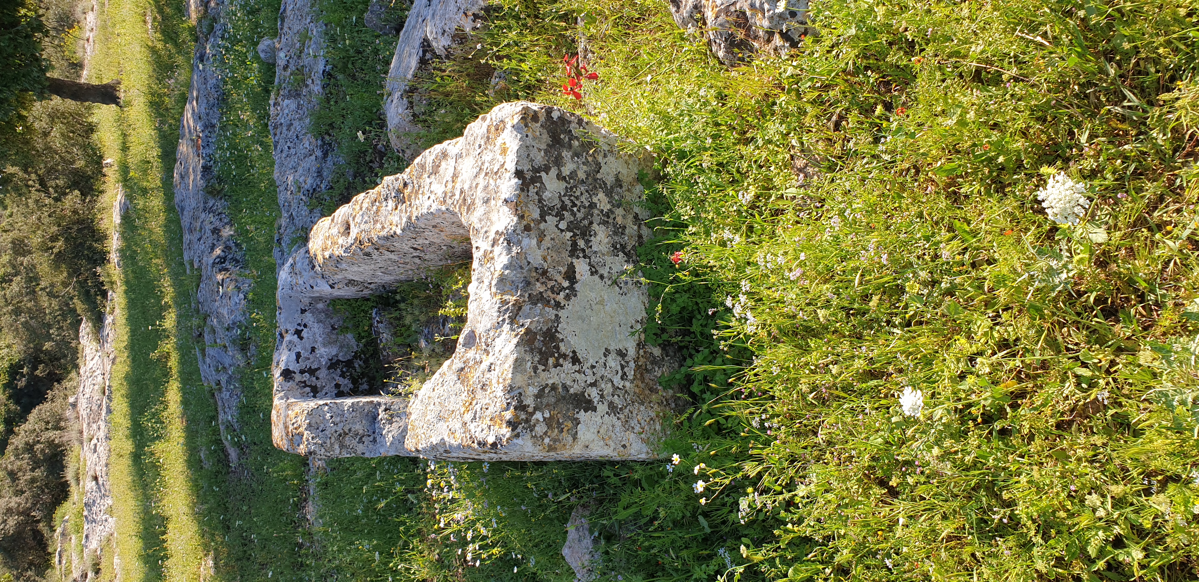 FileRock-cut_sarcophagus.jpg