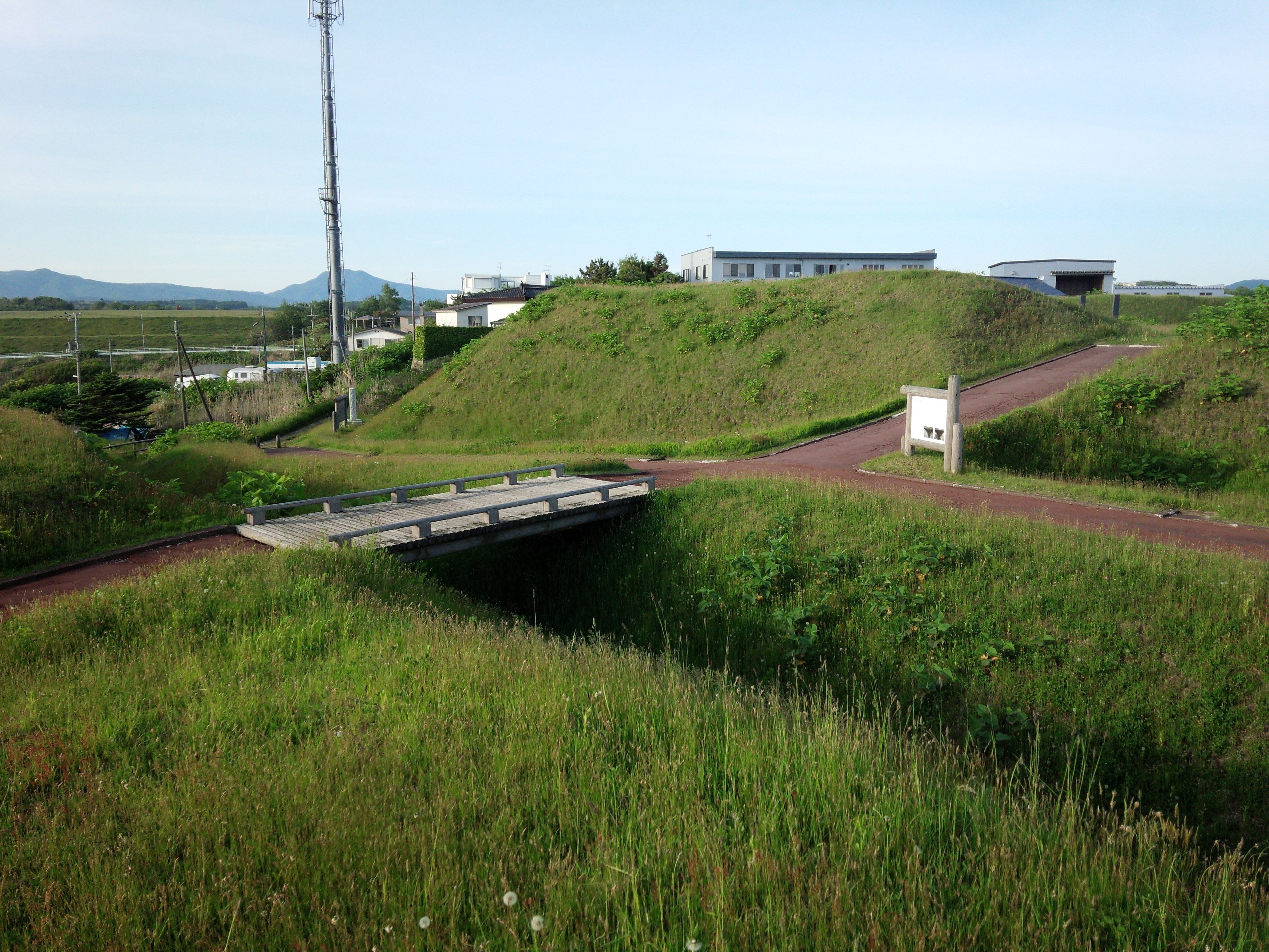 FileShinori20140604173914-01.jpg