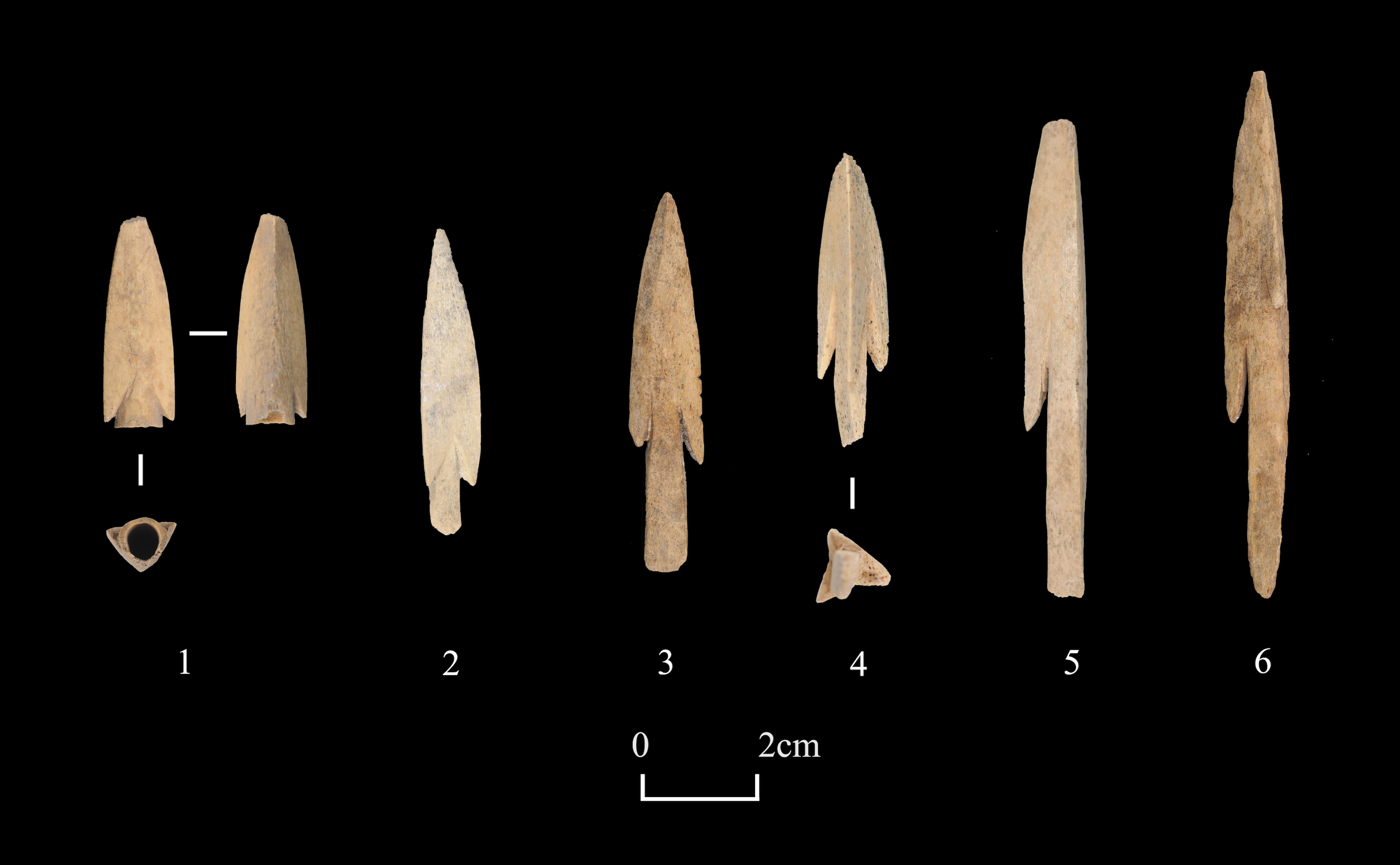 FileShirenzigou_bone_arrowhead.png