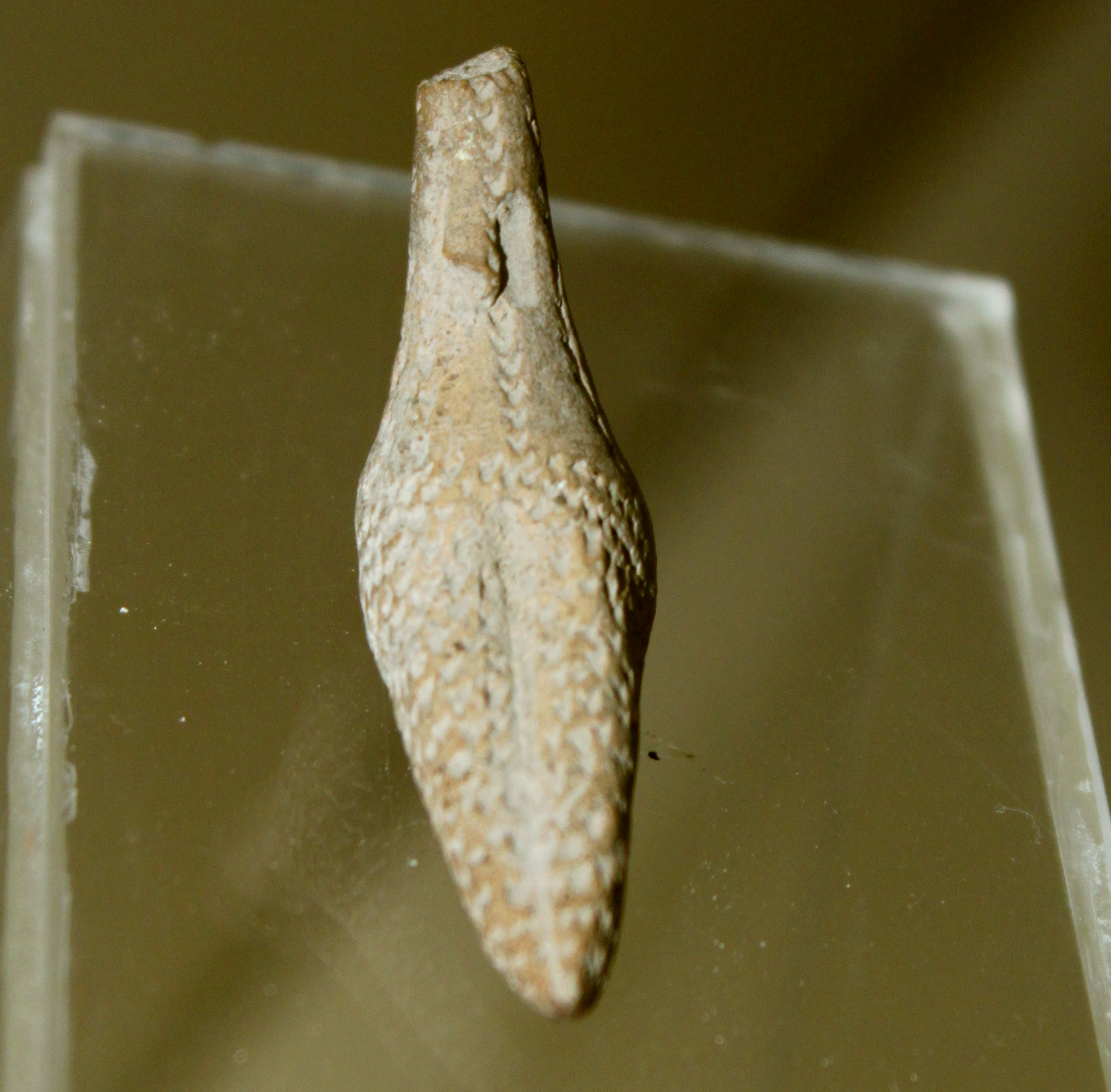 FileClay_female_idol_from_Qargalartepesi.JPG