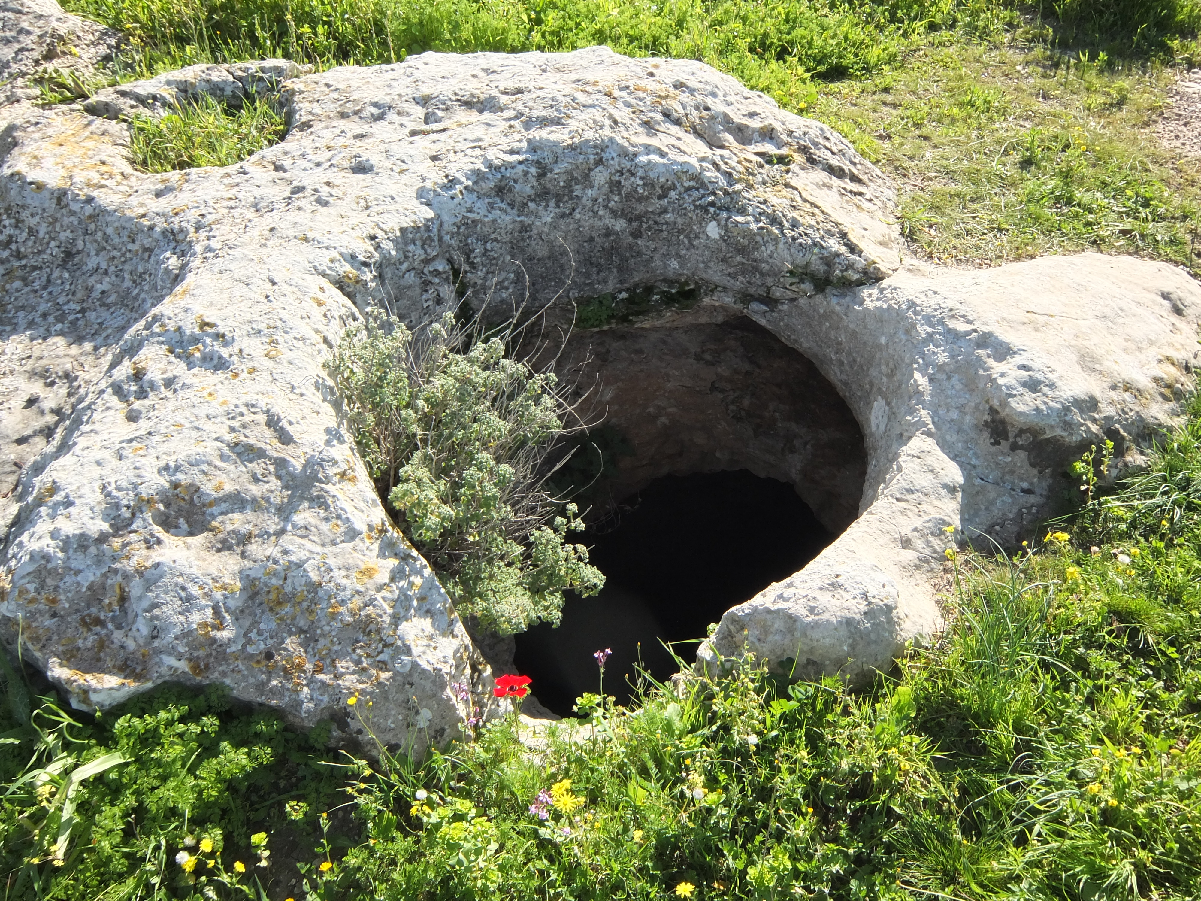 FileCave-like_cistern_at_Tel-Socho_Khirbet_Shuweikah_-_2_Feb._2015.JPG