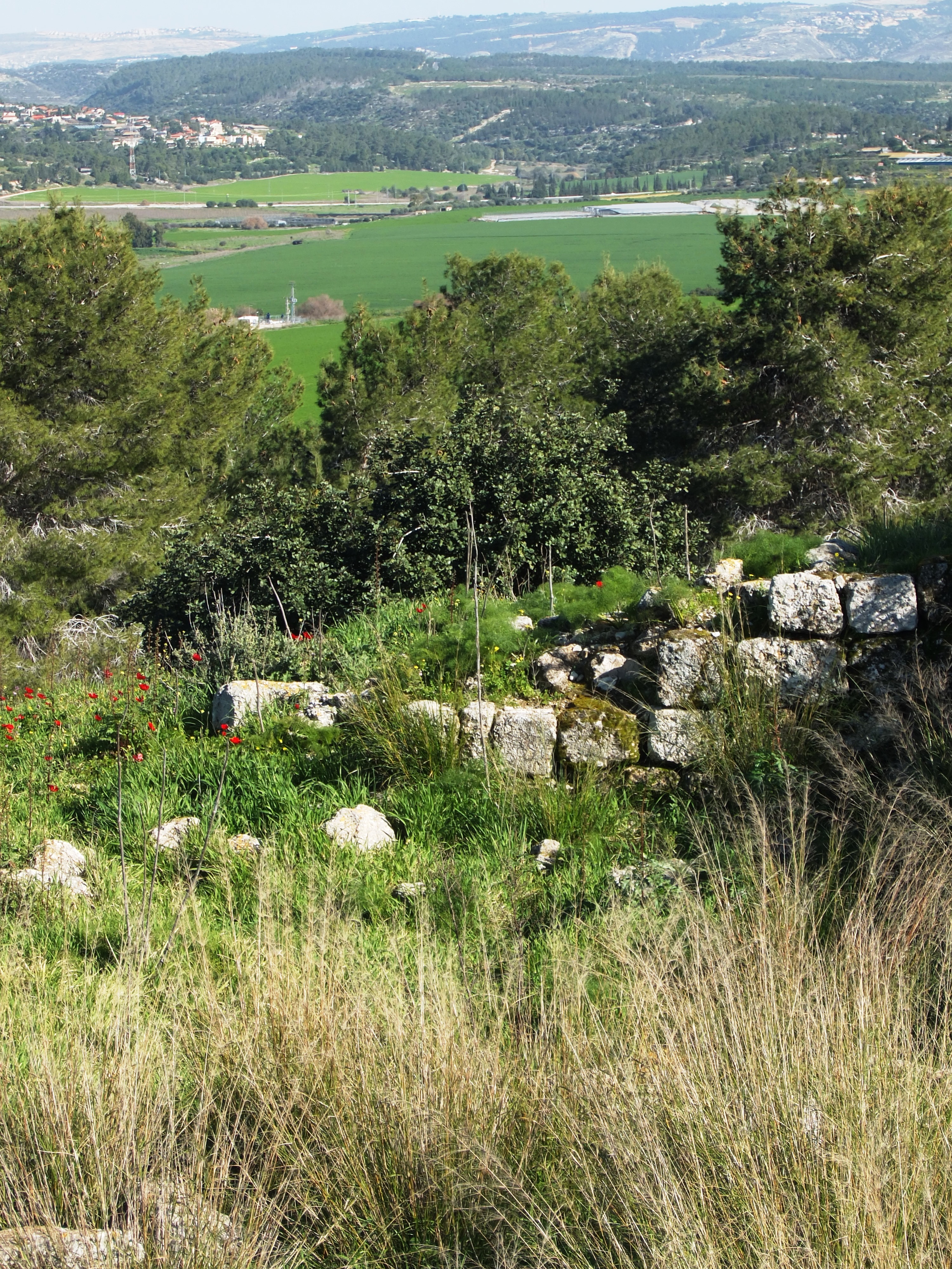 FileStone_wall_at_Tel_Socho_Israel_Feb._2015.jpg