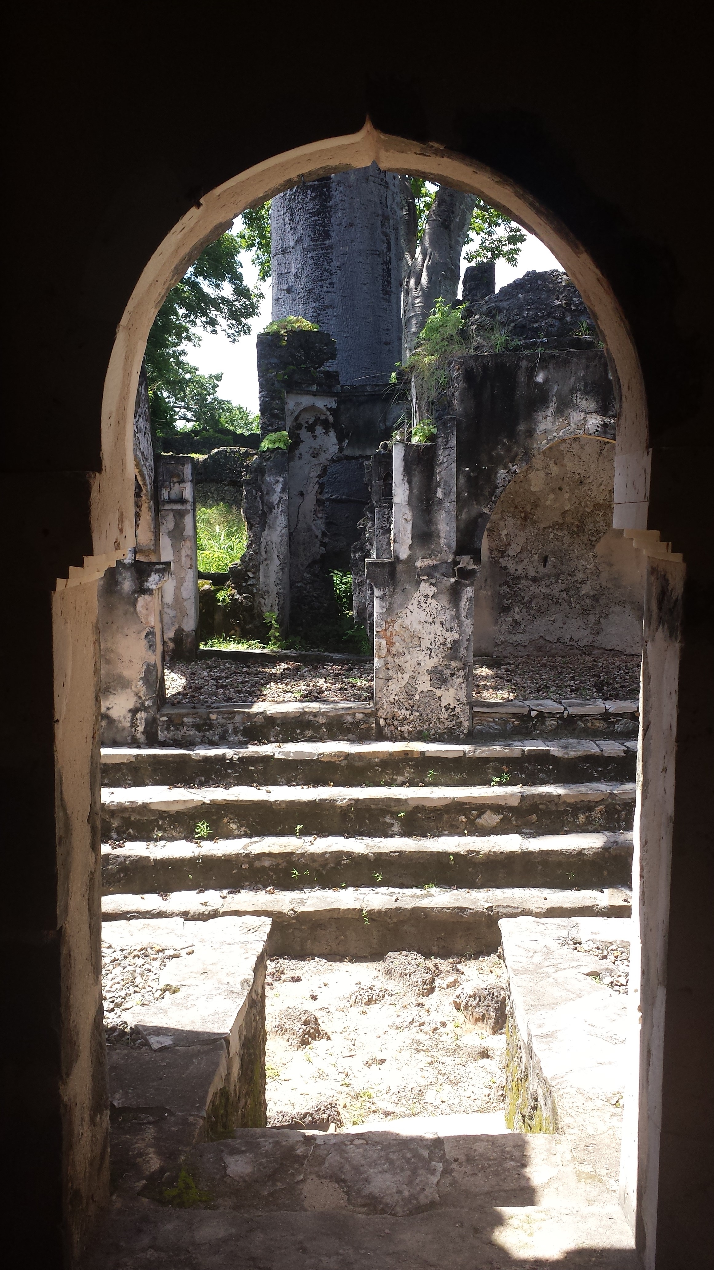 FileInside_the_ruins_of_Songo_Mnara.jpg
