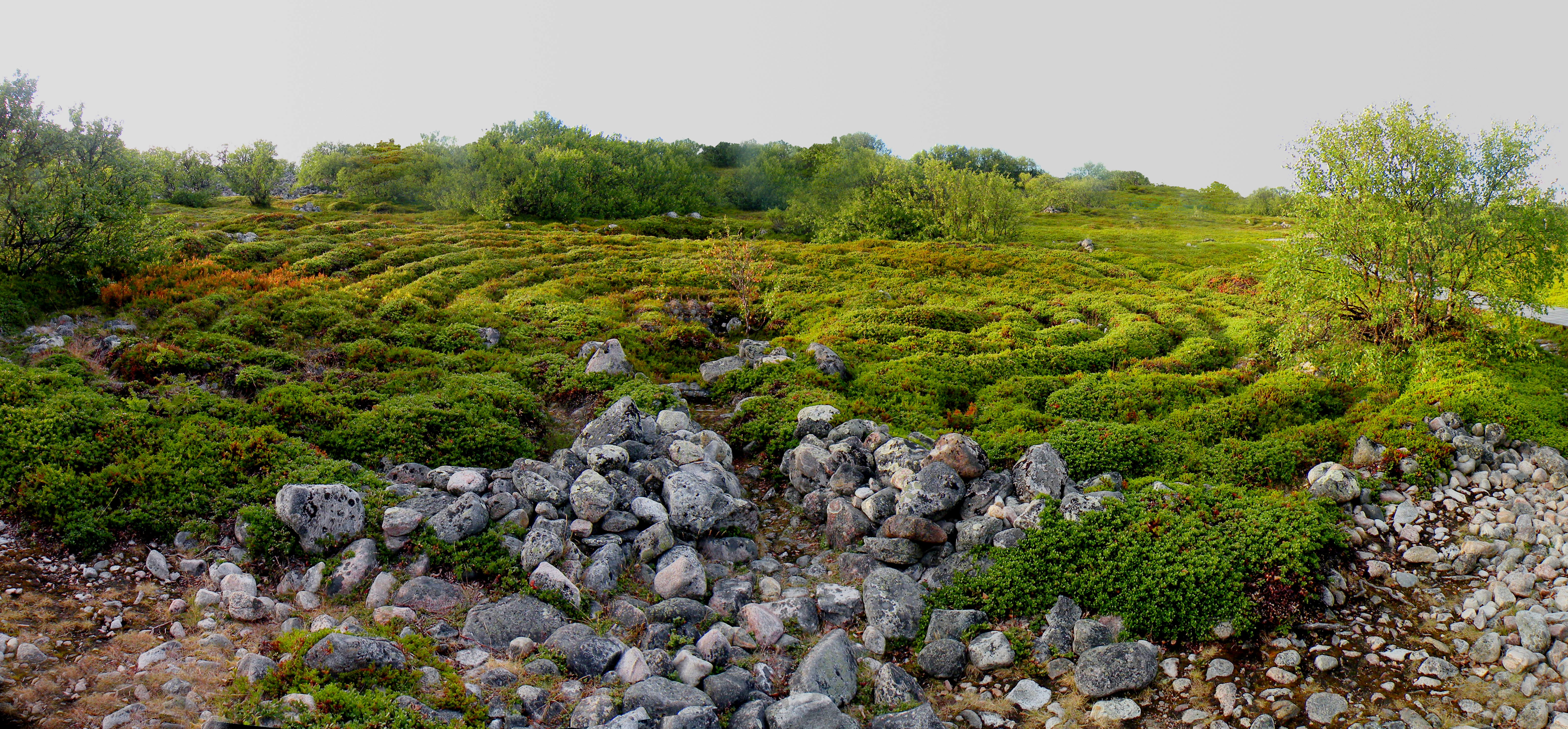 Stone labyrinths of Bolshoi Zayatsky Island