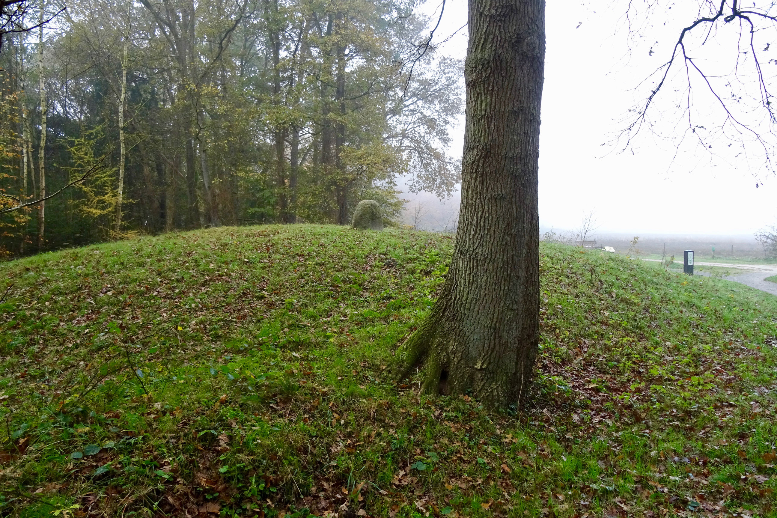 File20171107_De_Strubben-Kniphorstbosch_grafheuvel.jpg