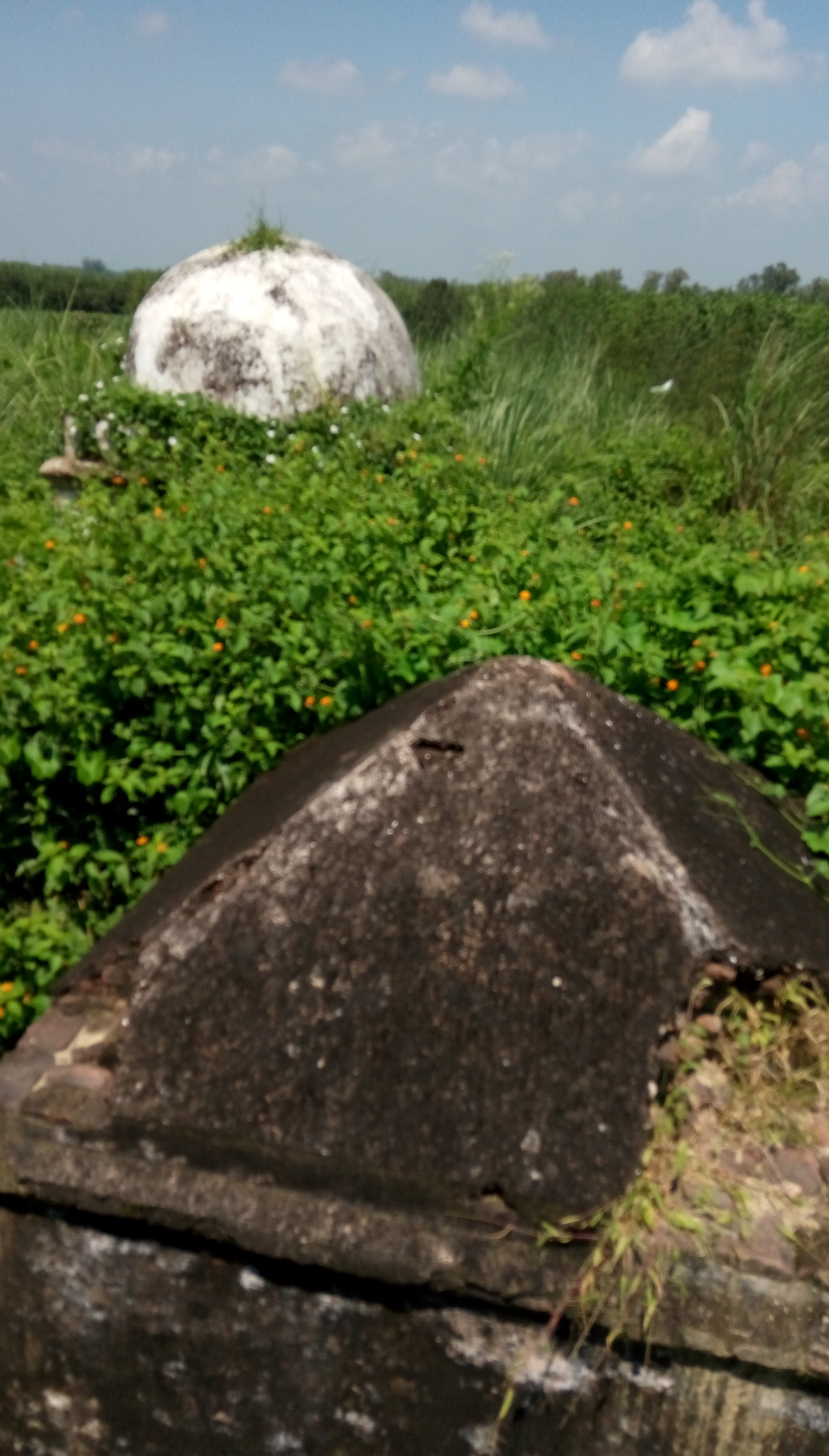 FileAncient_Mound_site_-Sugh-.jpg
