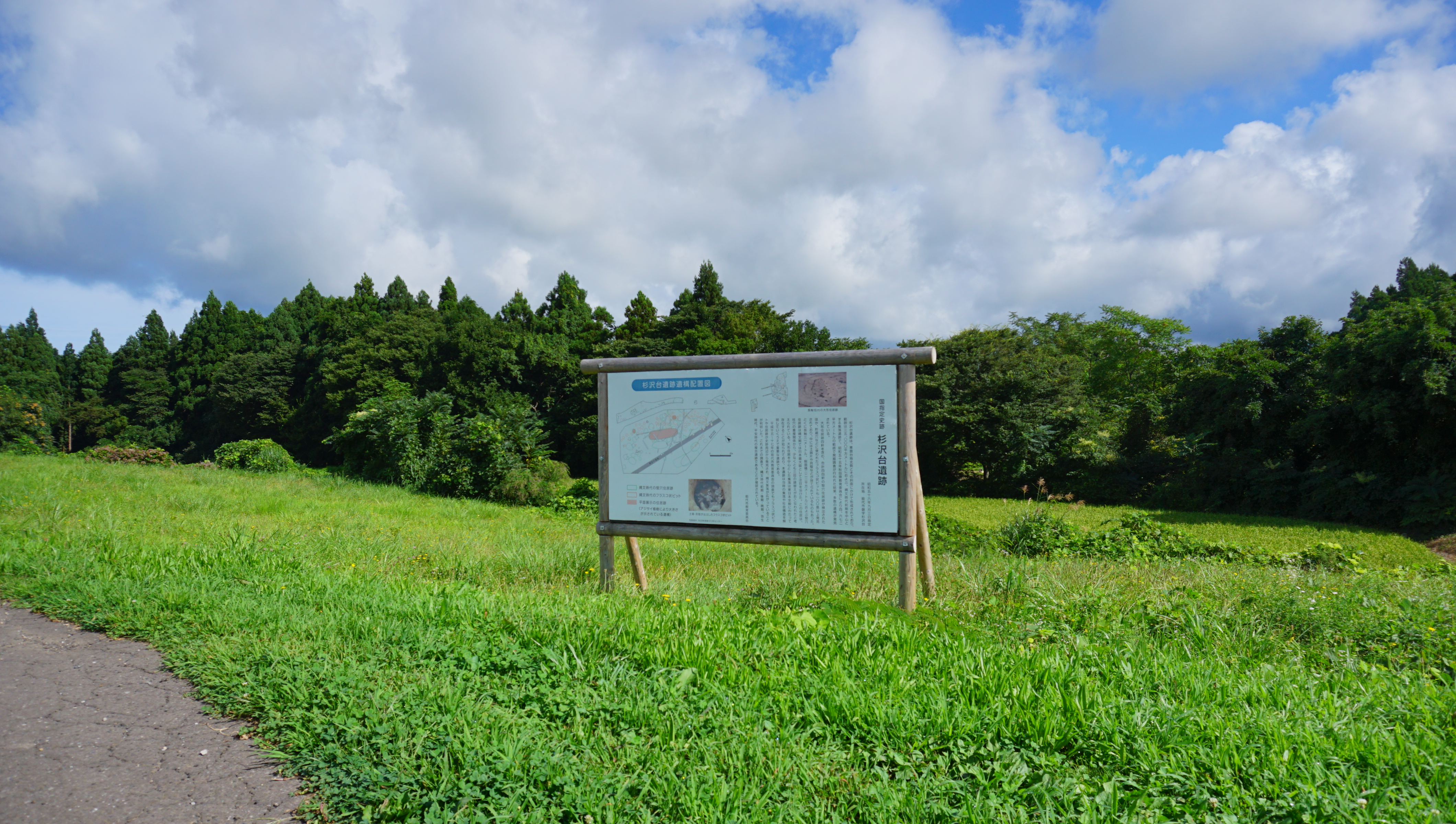 FileSugisawadai_Site.jpg