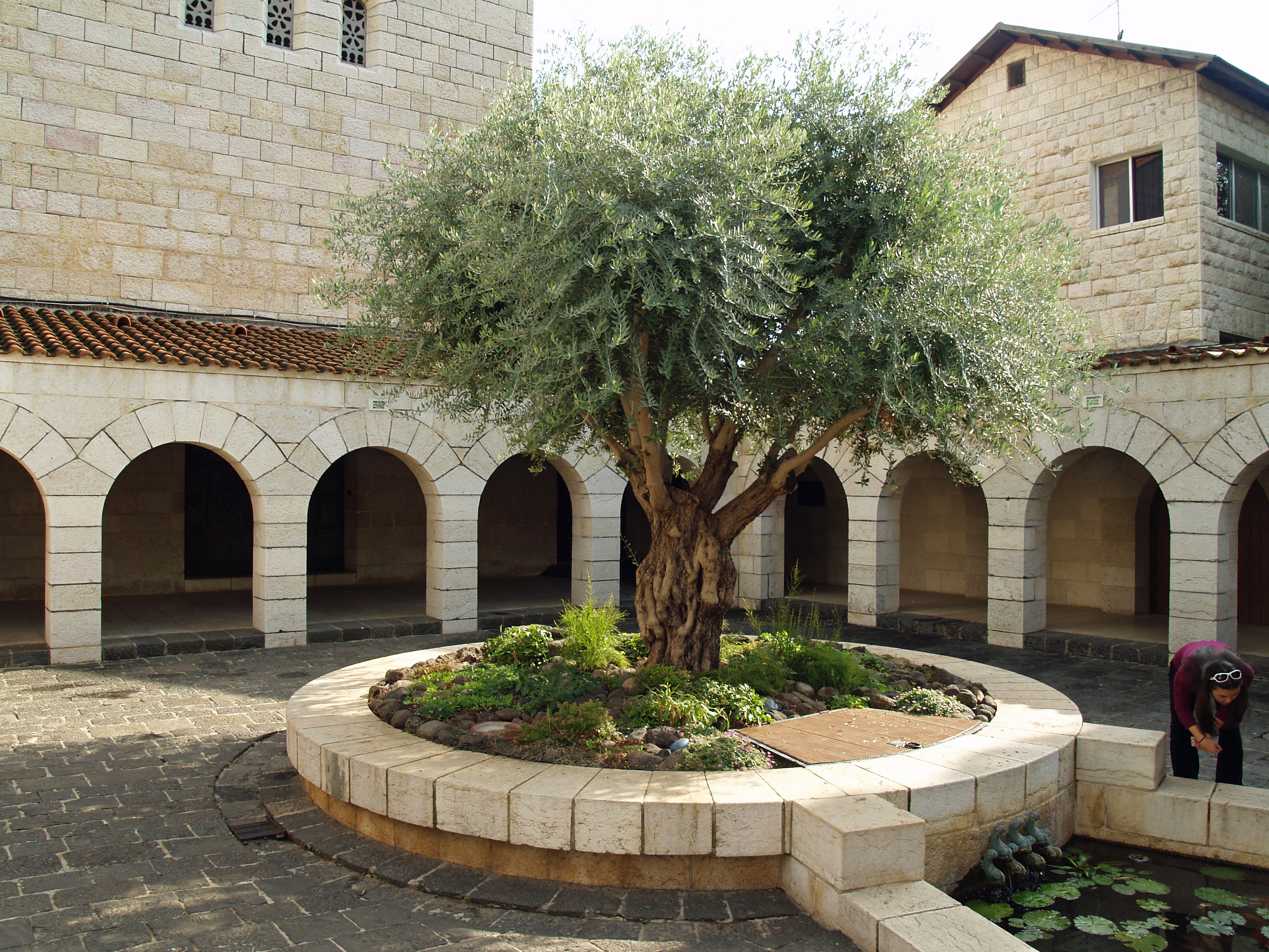 FileCourtyard_of_the_Church_of_the_Multiplication_in_Tabgha_by_David_Shankbone.jpg