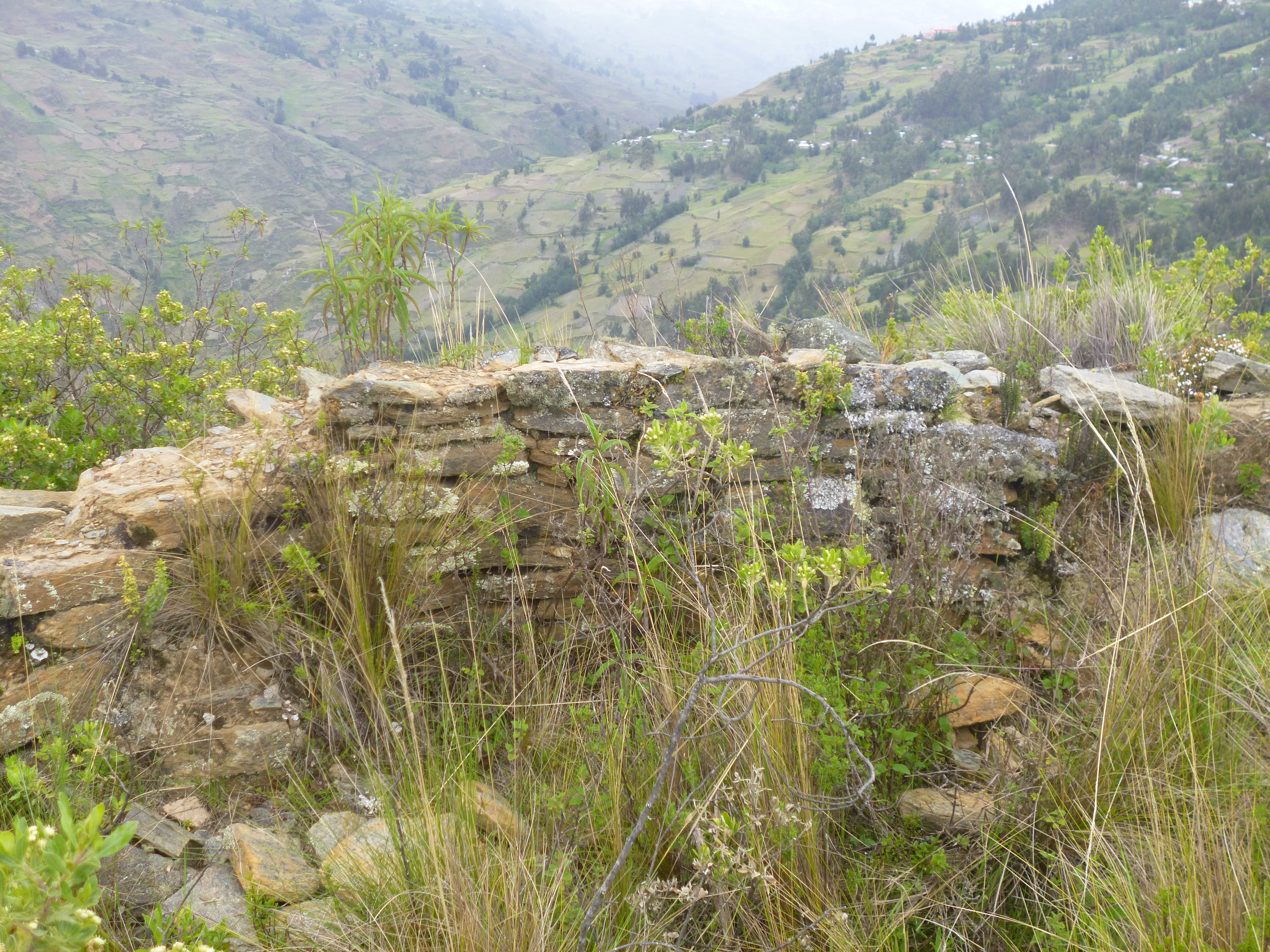 FileHuayuculano_Huacuto_y_Tacaj_Chavinillo_20121218-1140.JPG