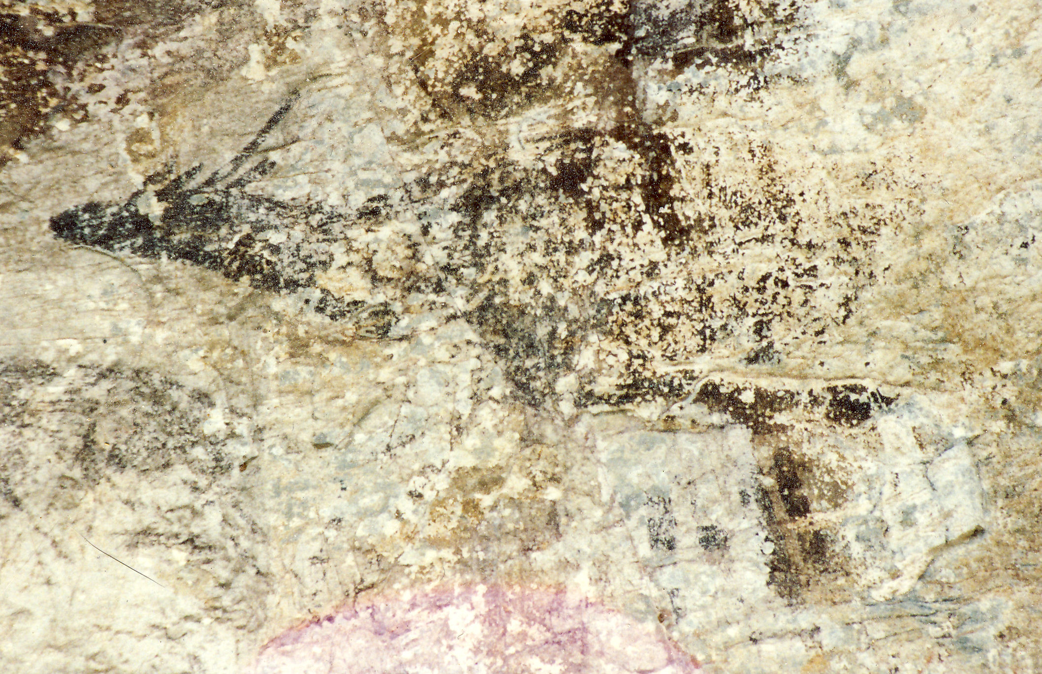FileGua_Tambun4.jpg