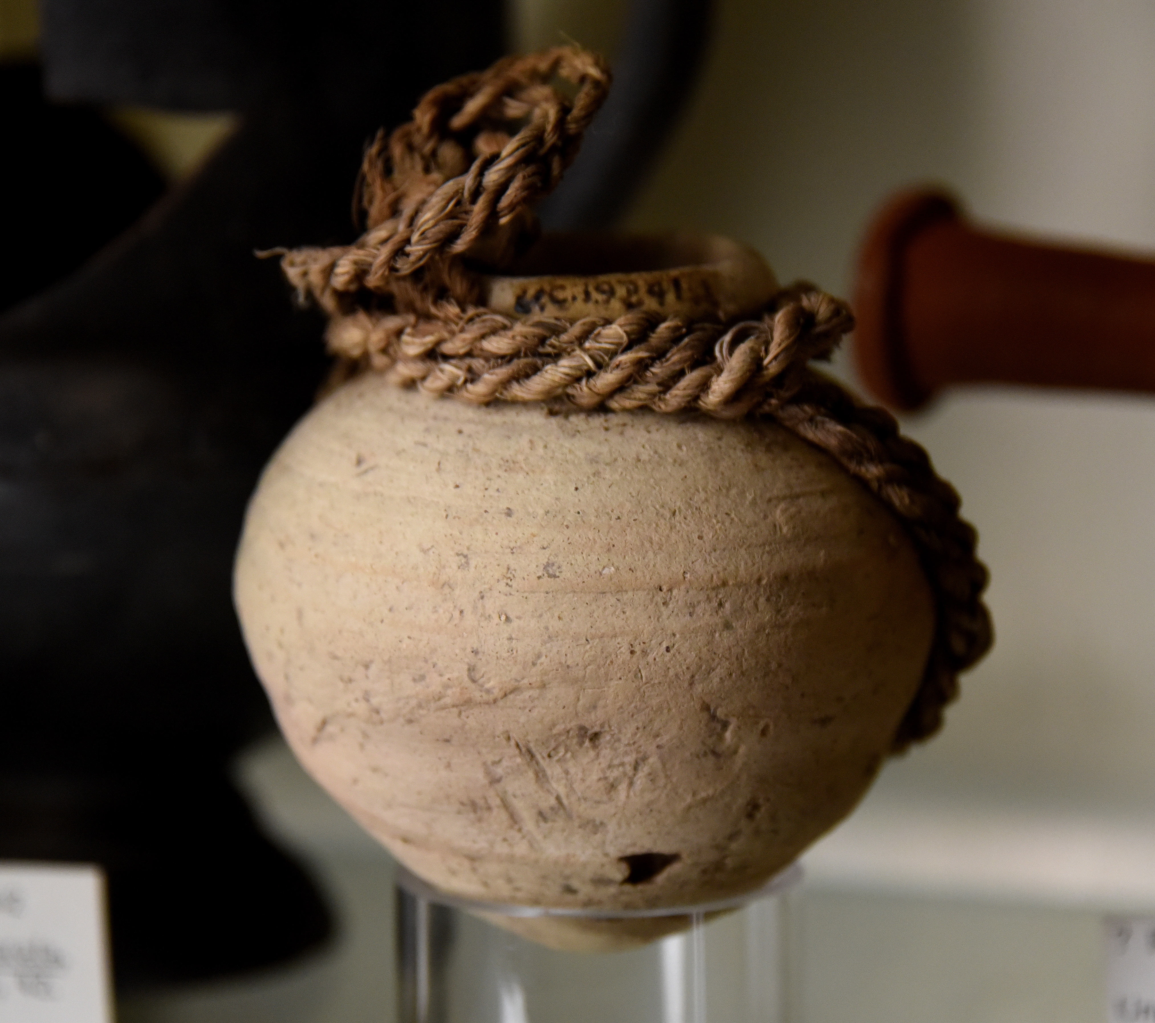 FilePottery_jar_drab_ware._The_original_loop_slip_is_still_present._Ptolemaic_period._From_Tarkhan_Kafr_Ammar_Egypt._The_Petrie_Museum_of_Egyptian_Archaeology_London.jpg