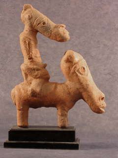 Taruga