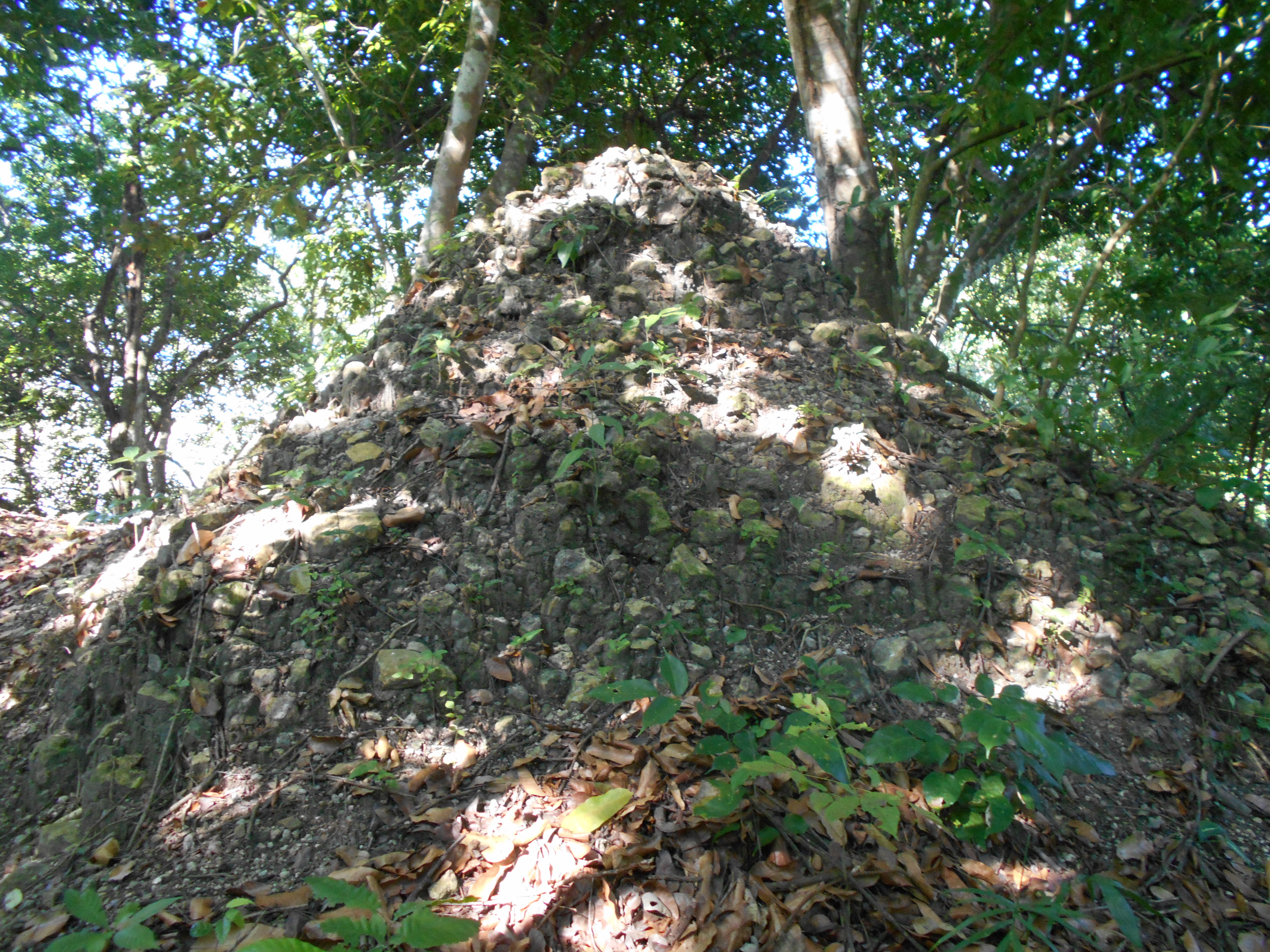 FileTayazal_09.JPG