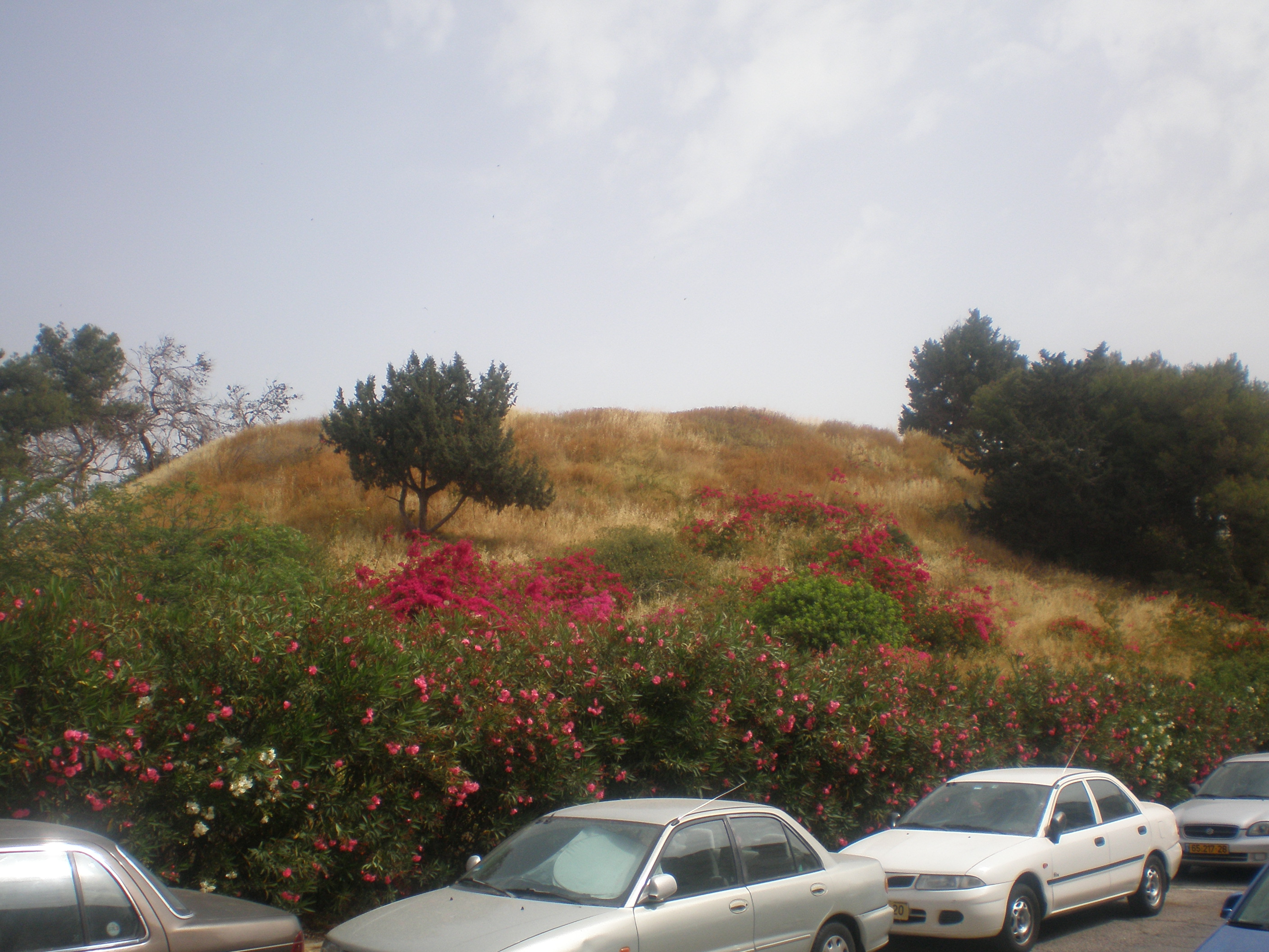 FileNapoleon_Hill_Ramat_Gan.JPG