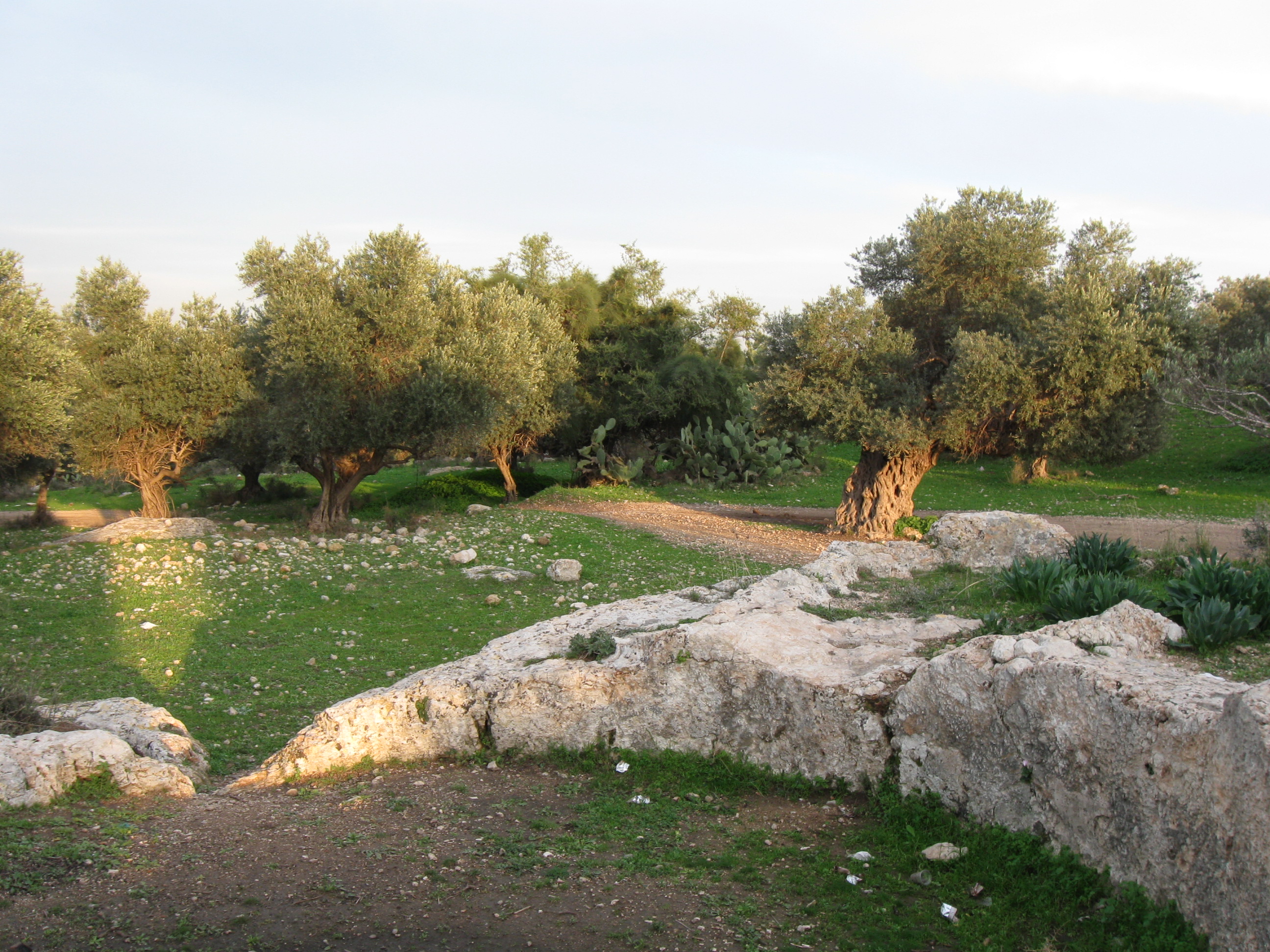 FileHadid_117.jpg