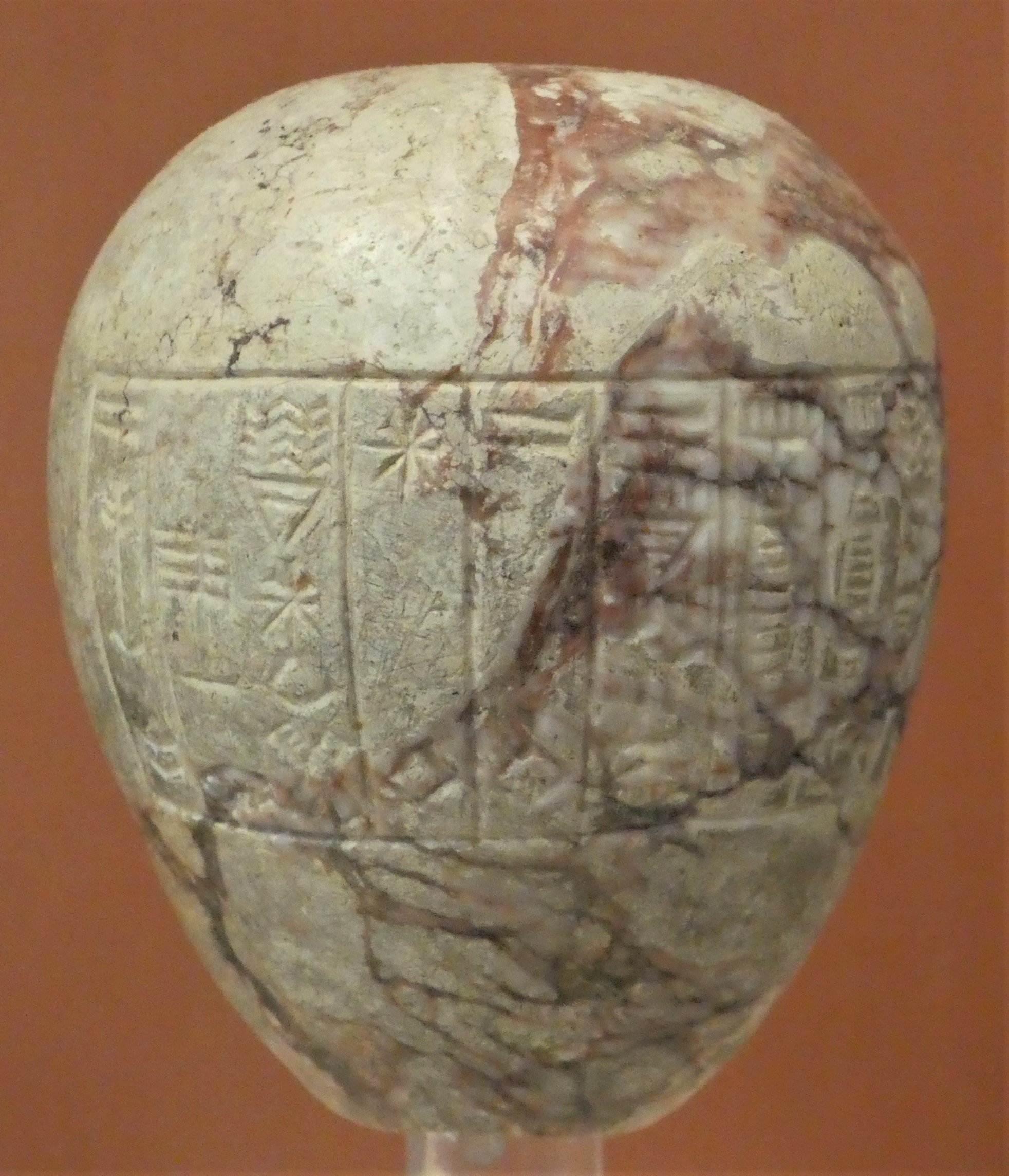 FileSharkalisharri_macehead_91146.jpg