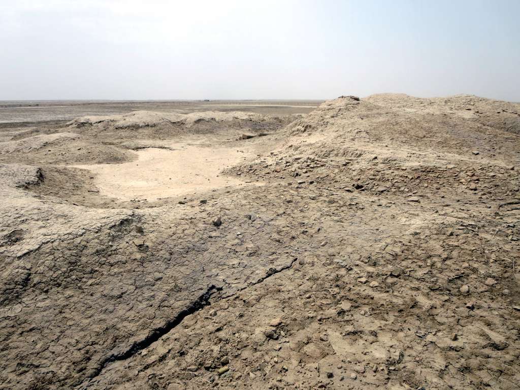 FileTel_Ubaid.jpg