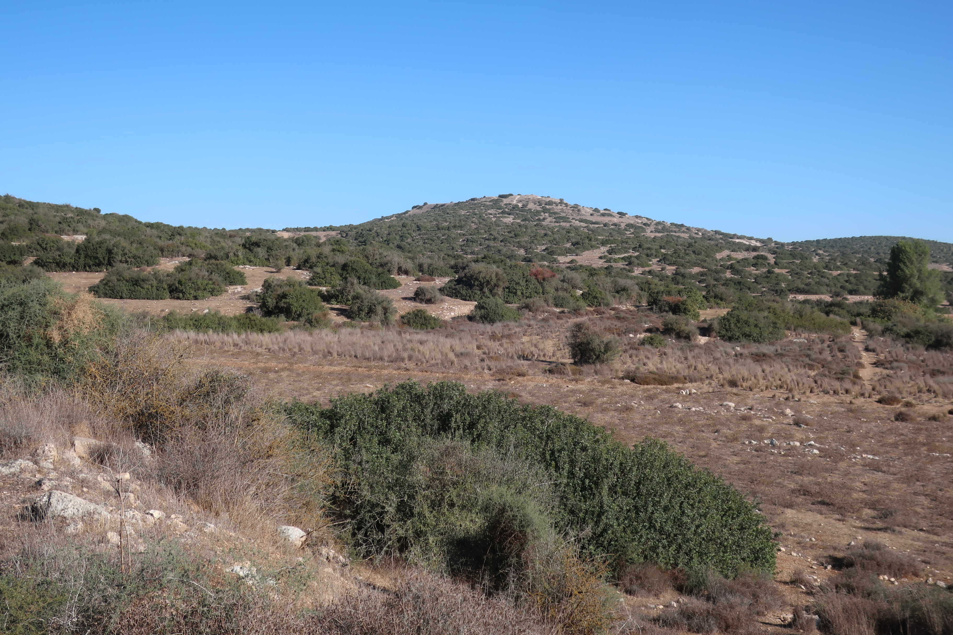 FileApproach_to_Tell_ej-Judeideh_from_its_south.jpg