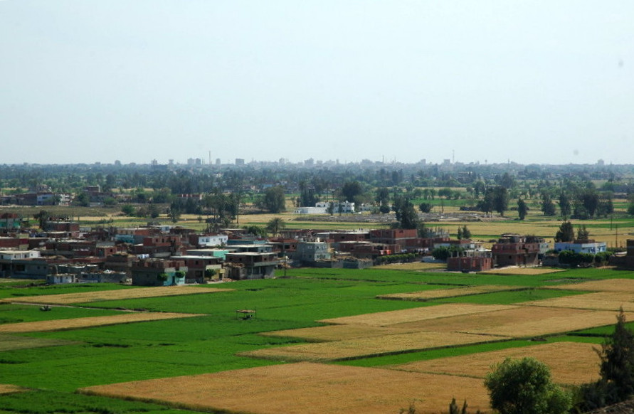FileTell_el-daba04.jpg
