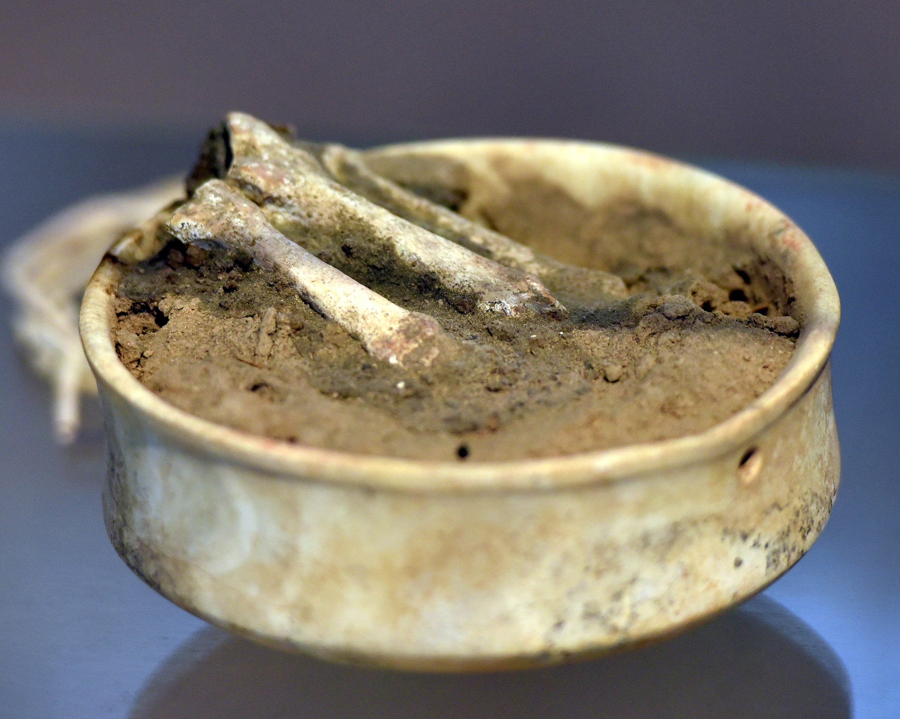 FileBowl_with_human_bones_from_Tell_es-Sawwan_Iraq_6000-5800_BCE._Iraq_Museum.jpg