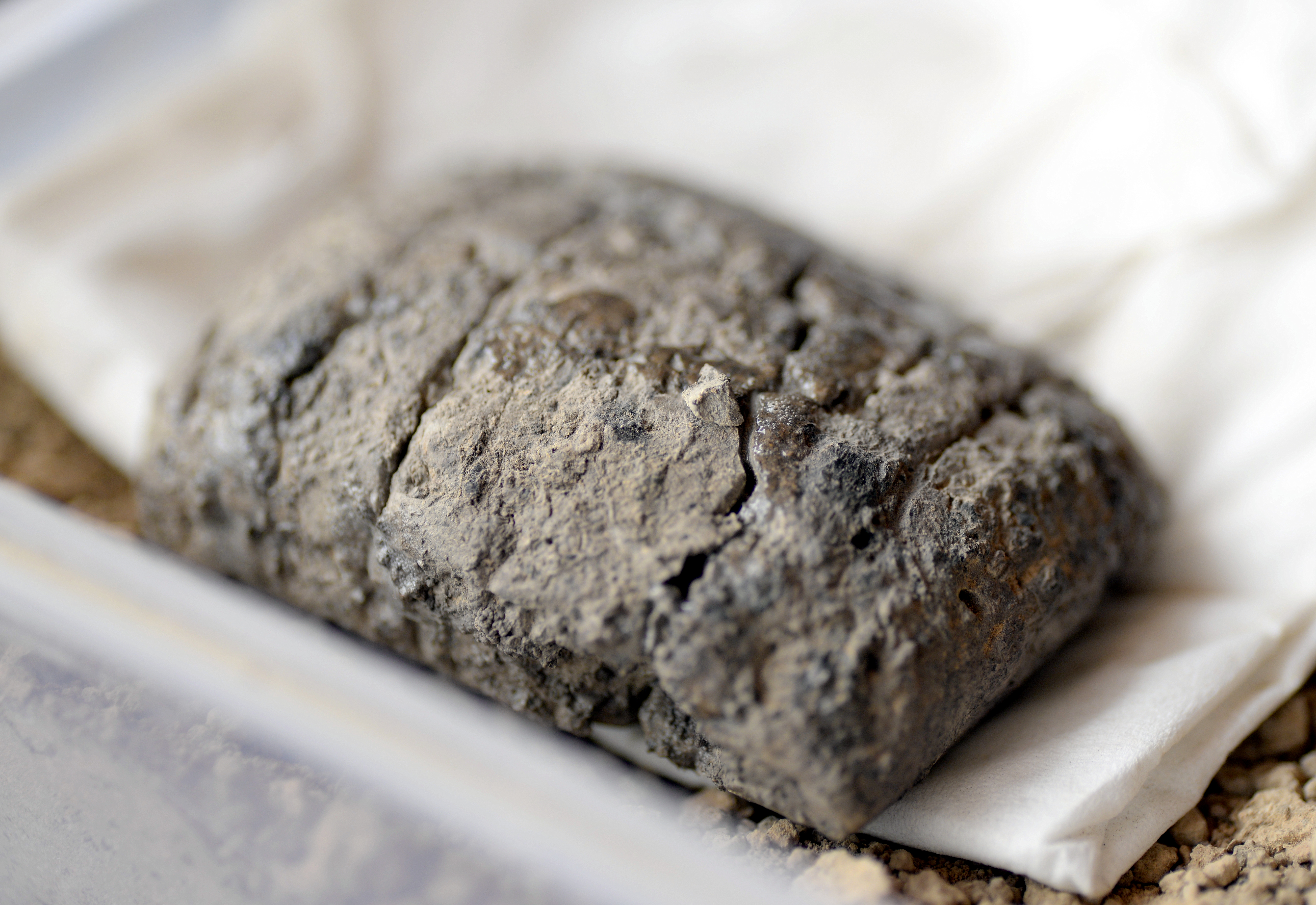 FileClay_tablet_freshly_excavated_covered_with_mud_to_protect_it._From_Tell_Kunara_Sulaymaniyah_Iraq._Akkadian-Lullubian_2300-2000_BCE._Now_in_the_Sulaymaniyah_Museum_Iraq.jpg