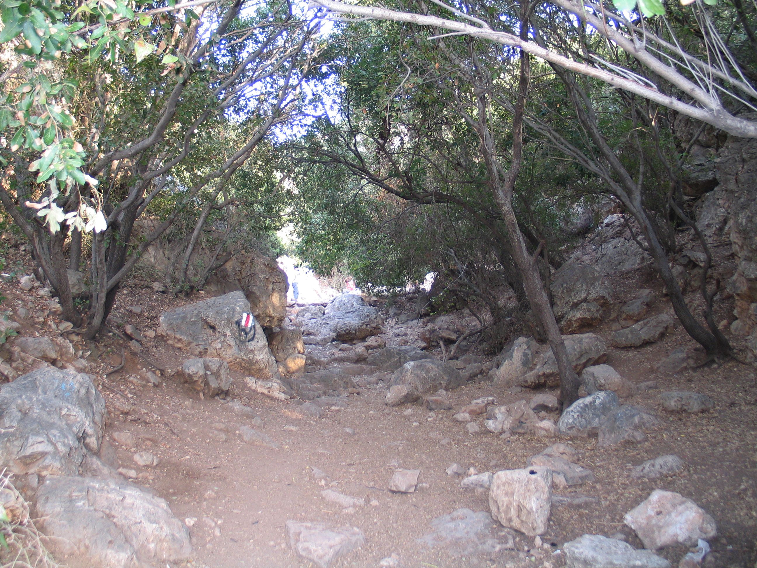 FileMearat-Teomim-67.jpg