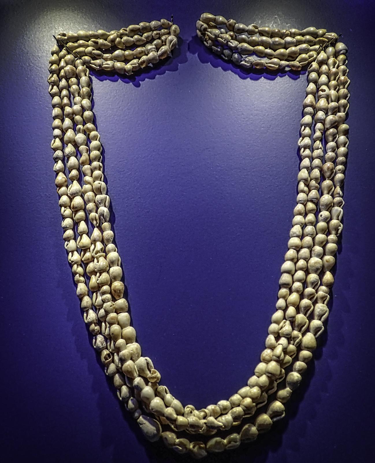 FileColumbella_Rustica_snail_shell_necklace_from_Tepe_Gawra_modern_day_Iraq_4000_BCE.jpg