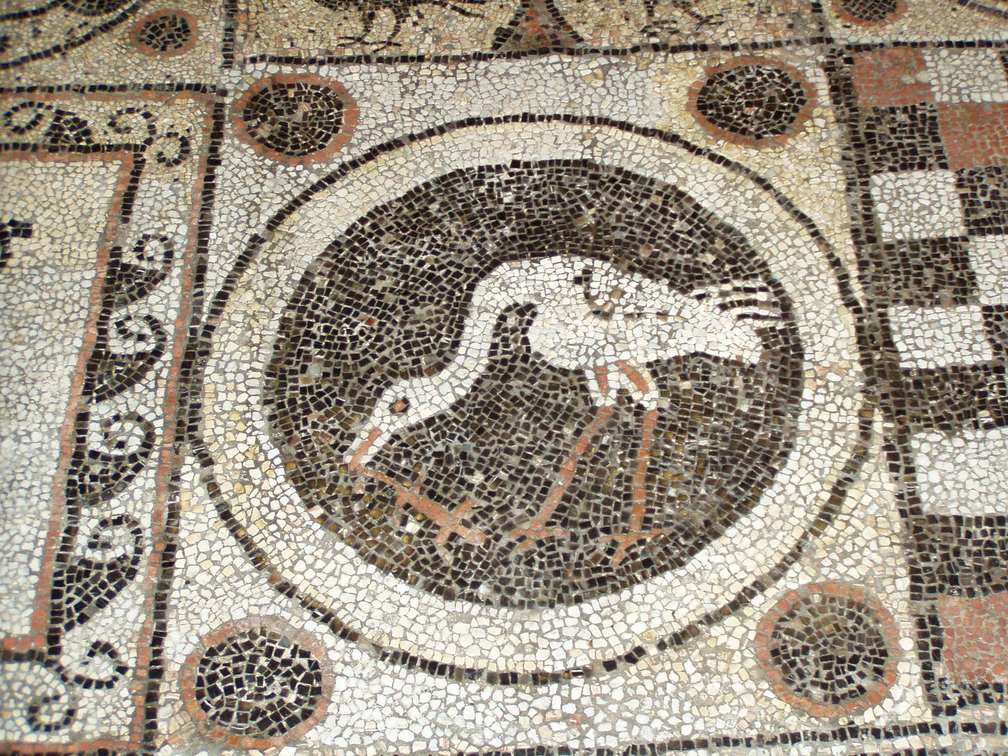 FileTeurnia_Mosaik_02.jpg