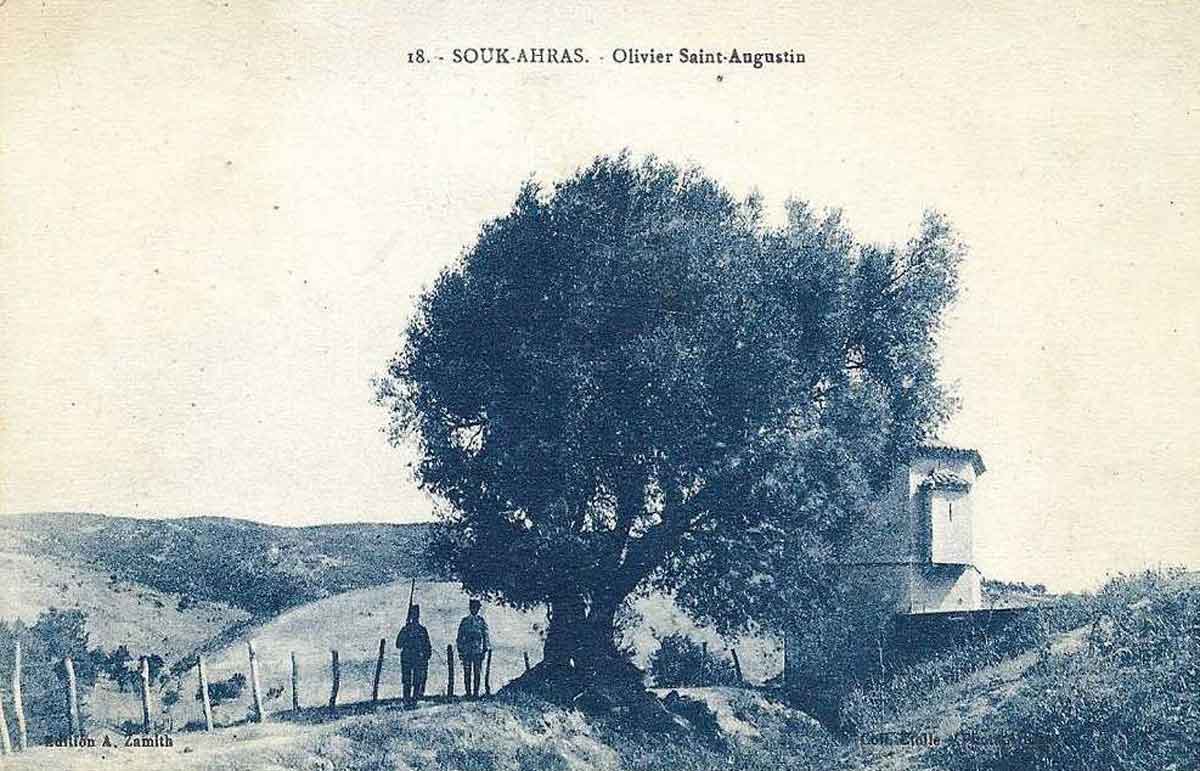 FileSouk_Ahras_olivier_augustin.jpg