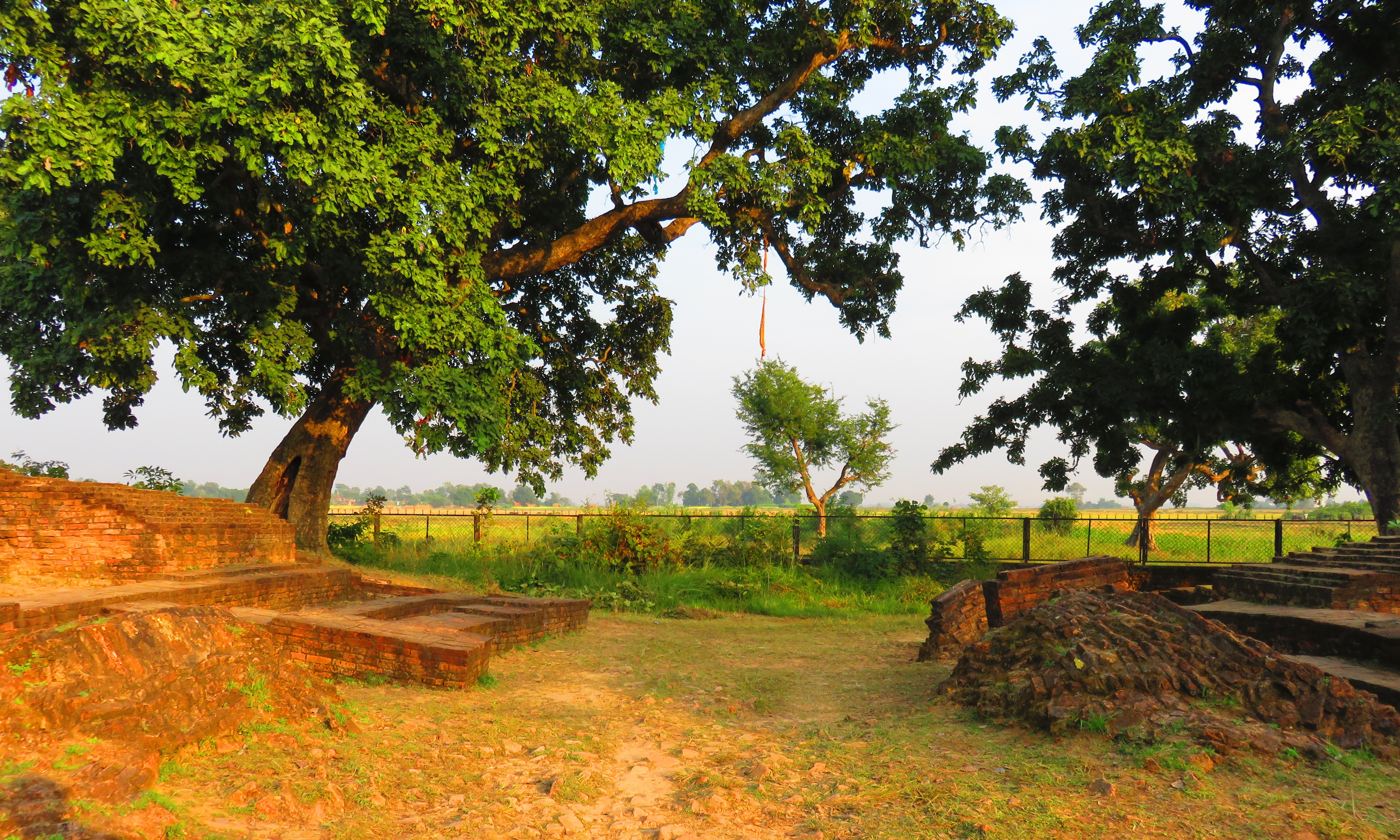 FileSuddhodana_Palace-east_gate.JPG
