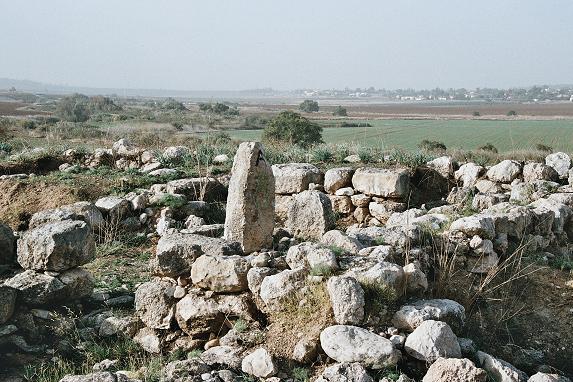 FileTel_batash.JPG