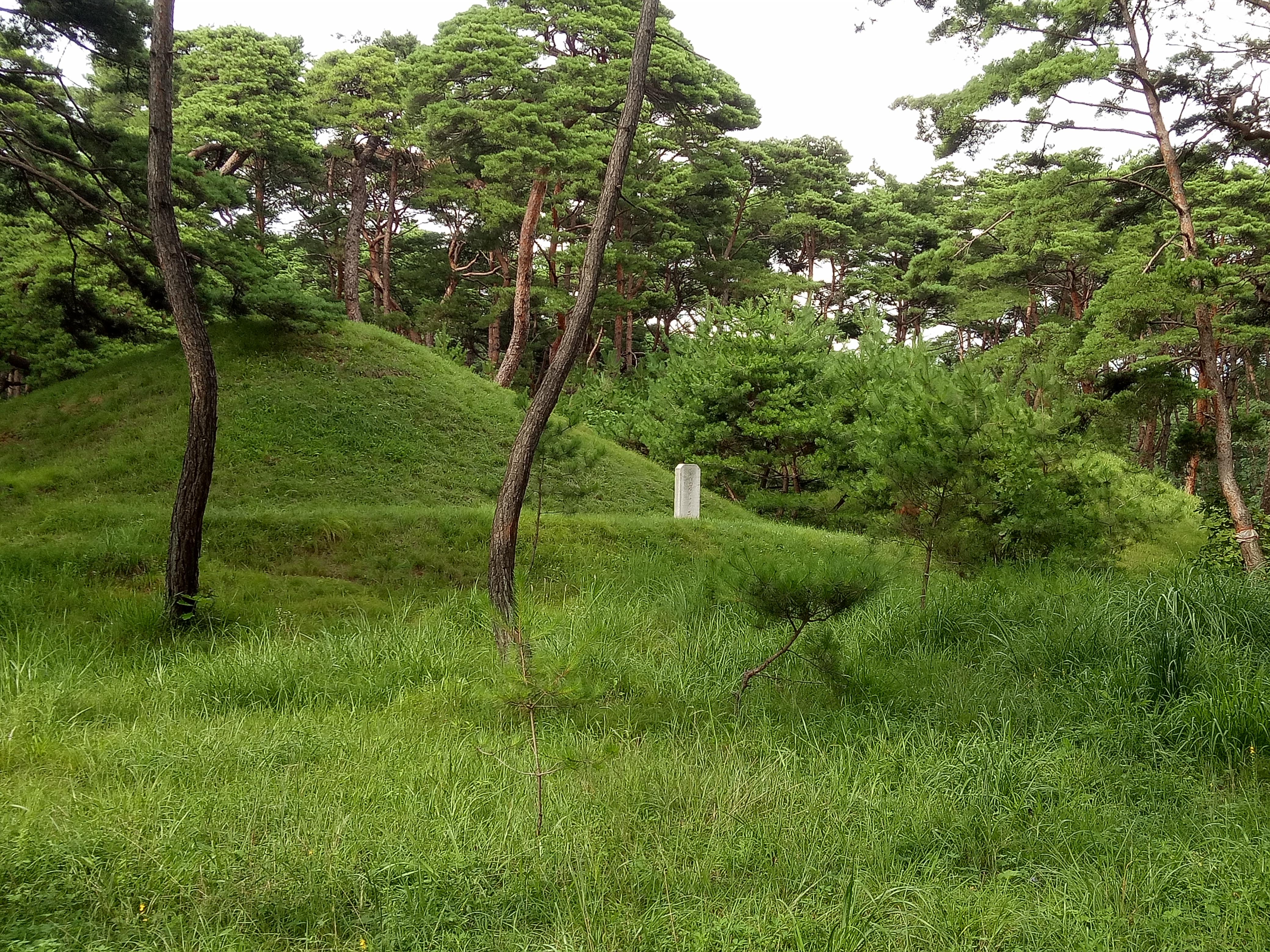FileKing_Tongmyong_mausoleum_tumuli.jpg