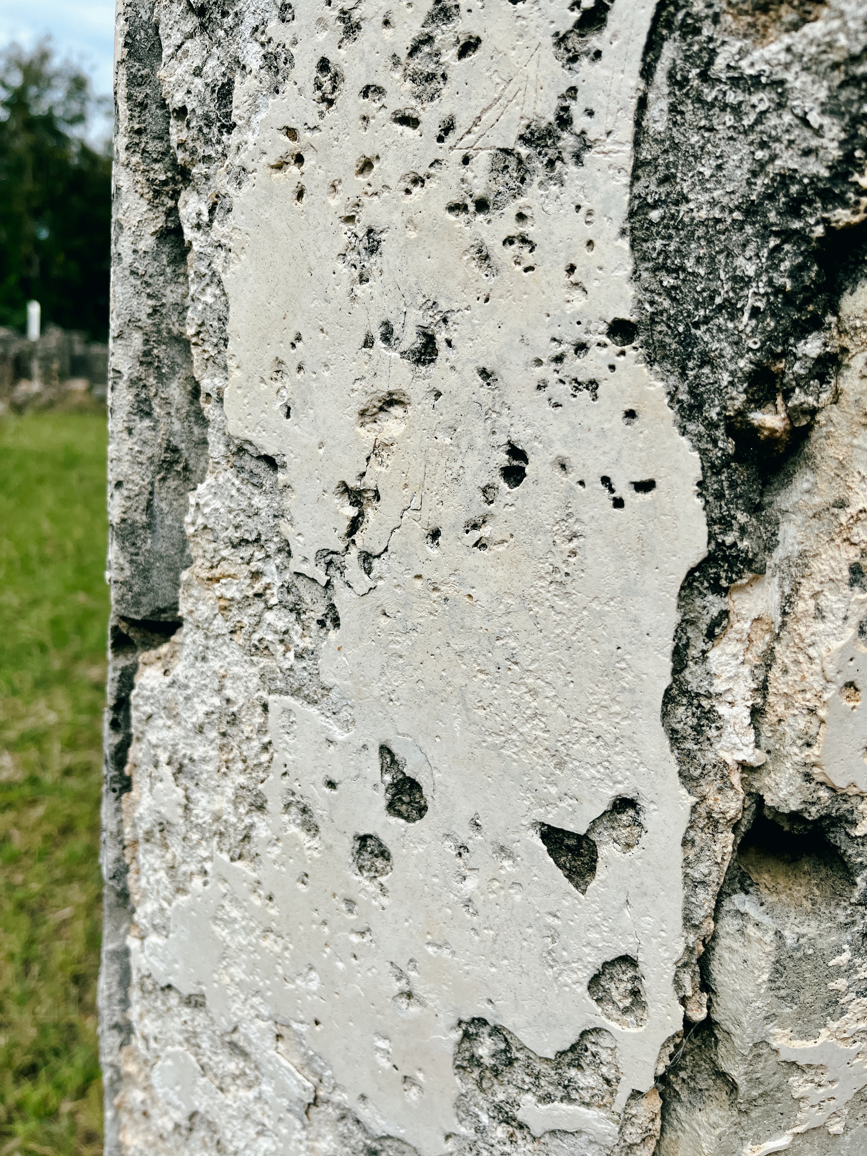 Tongoni Ruins